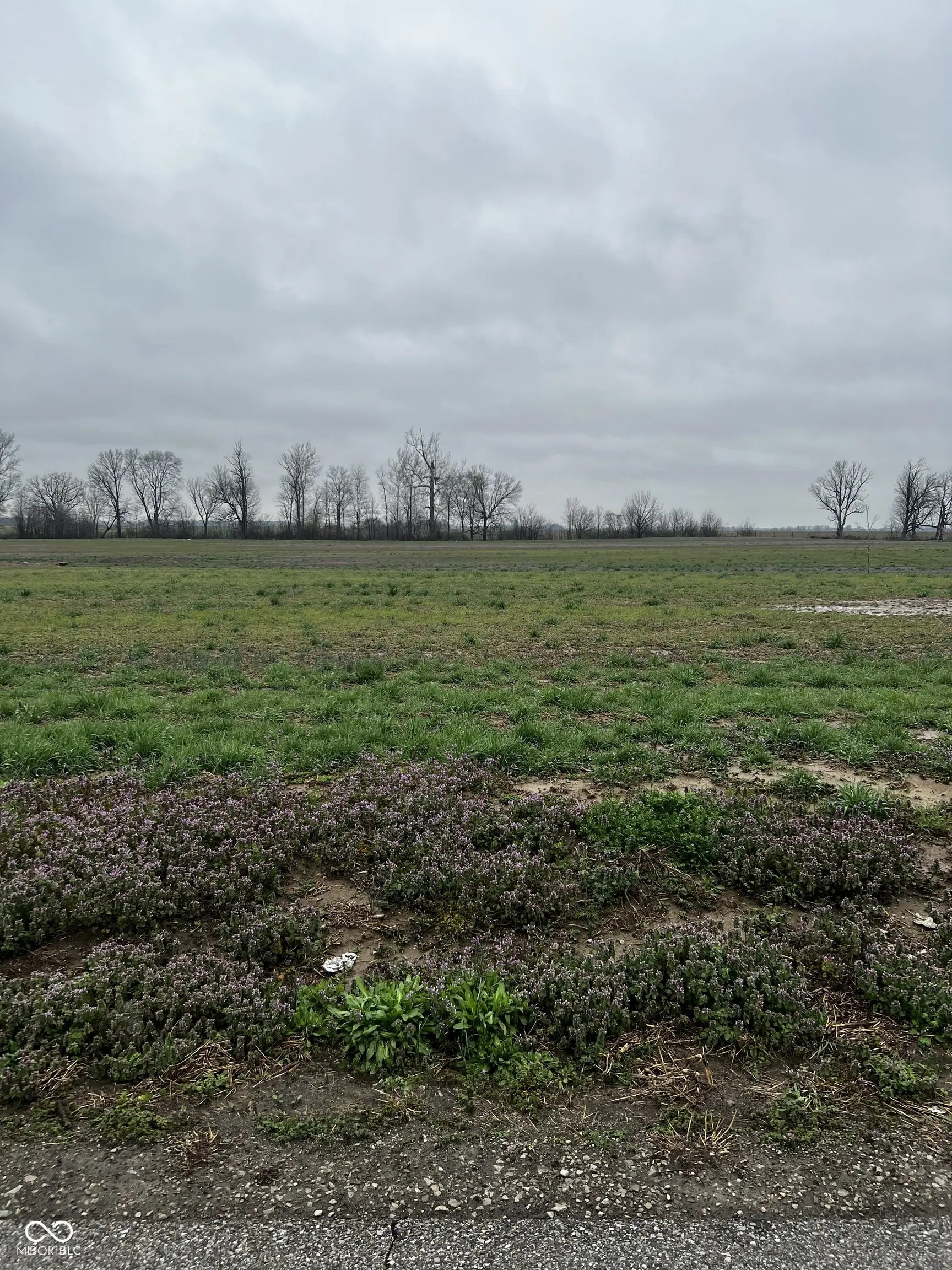 Lot 4 Walters Road, Martinsville