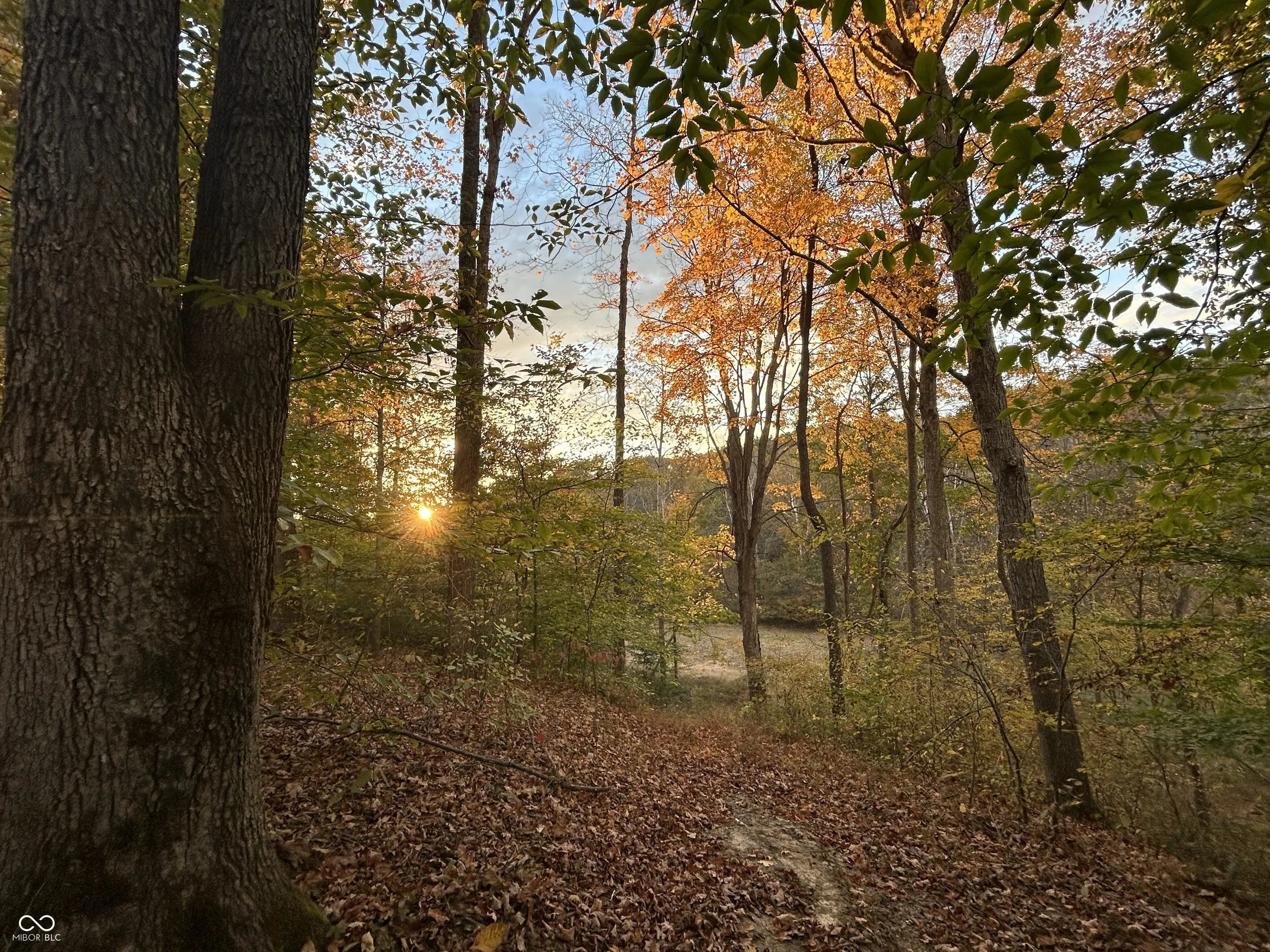 Persimmon Ridge Road, Nineveh