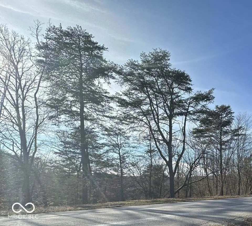 Photo of Oakland Parkway Borden, IN 47106