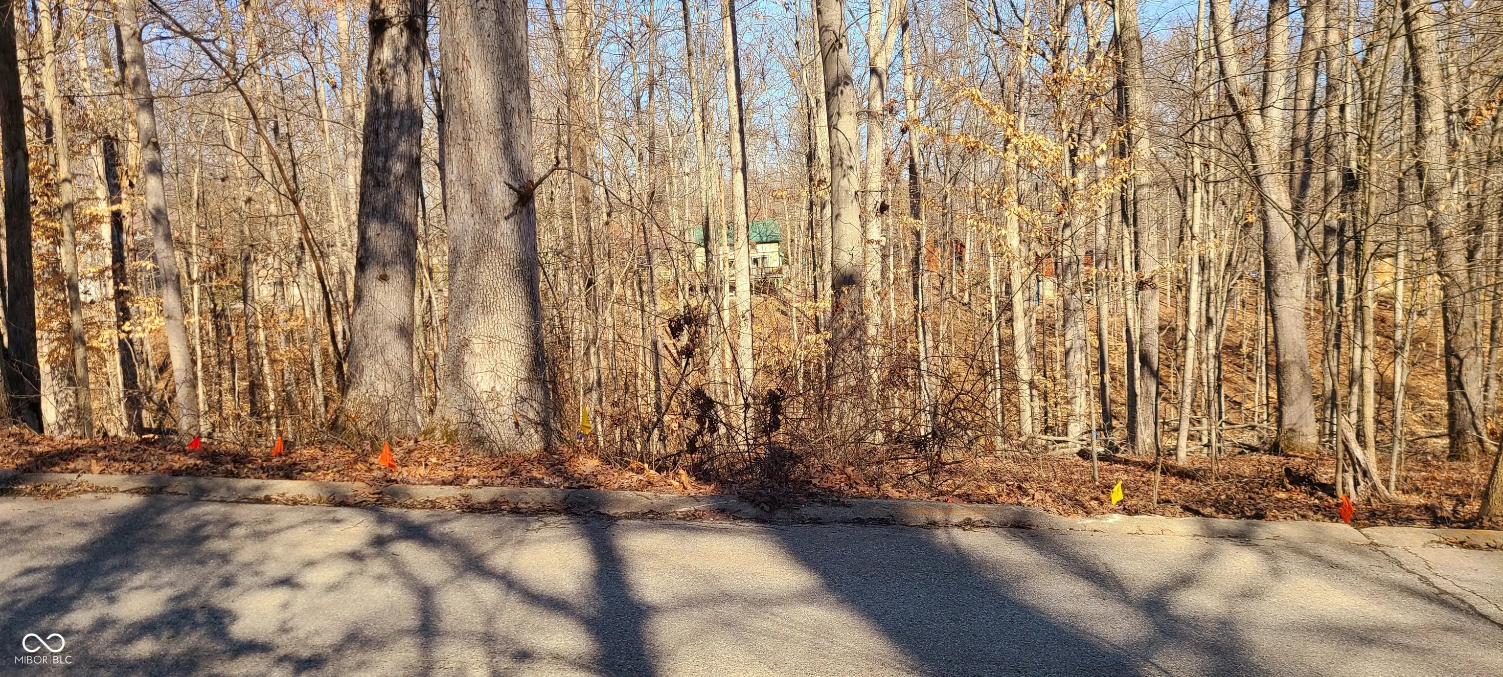 Oak Run Drive, Nashville