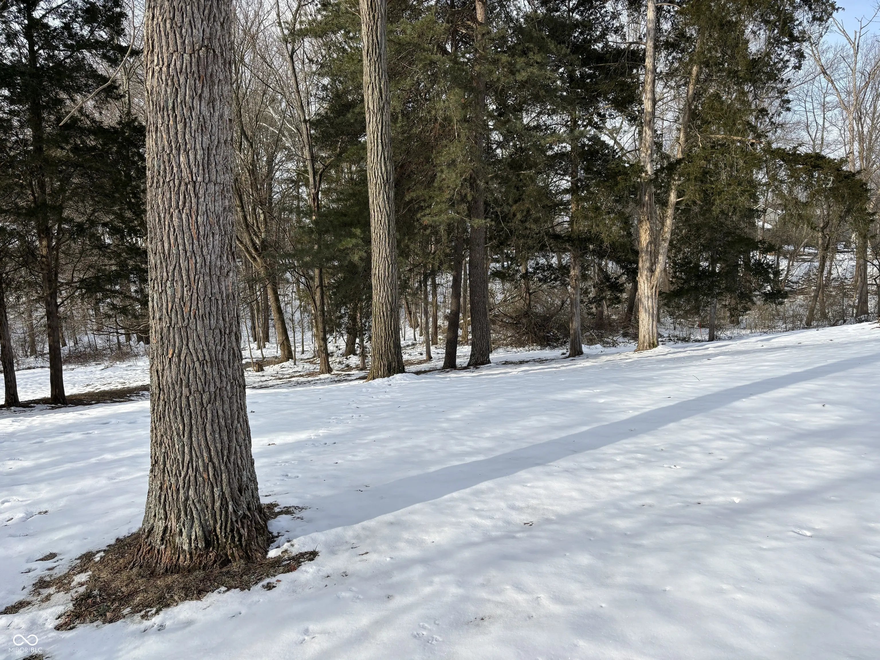 Photo of S Terrace Lake Road Columbus, IN 47201