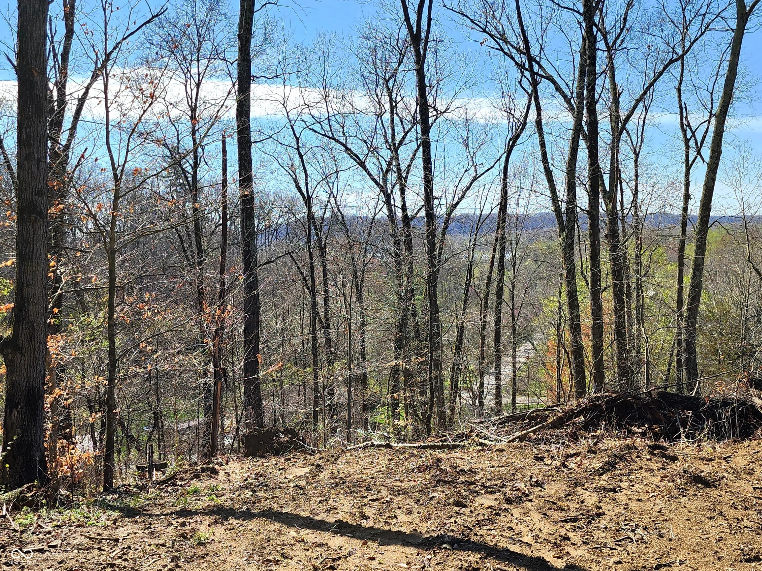 Lot 5 Goat Hollow Estates, Martinsville