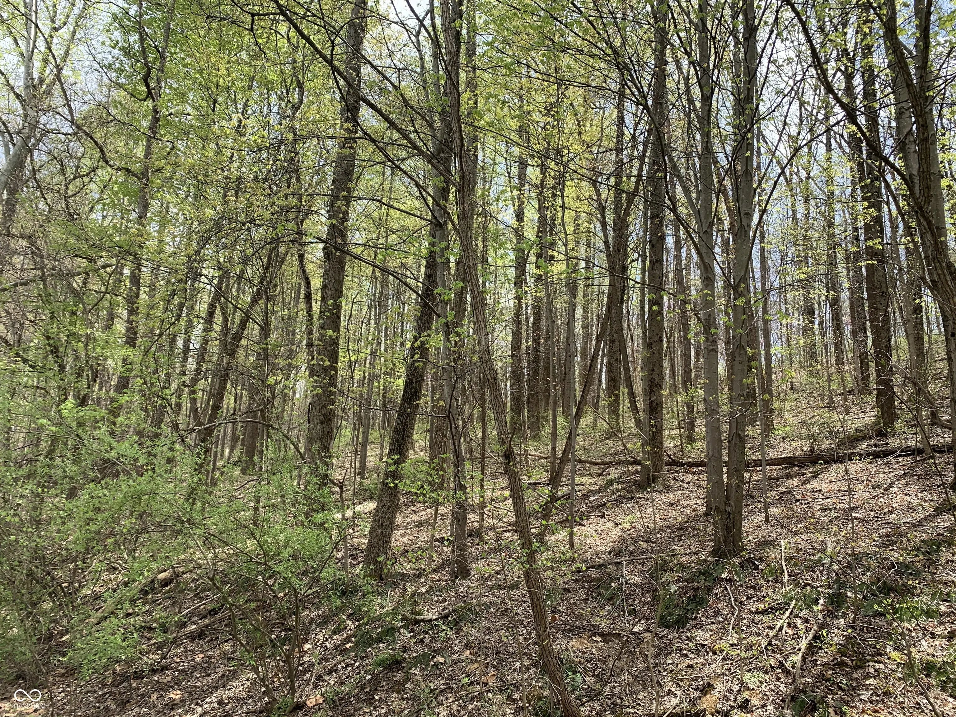 Photo of 1550 Fox Hollow Drive Martinsville, IN 46151