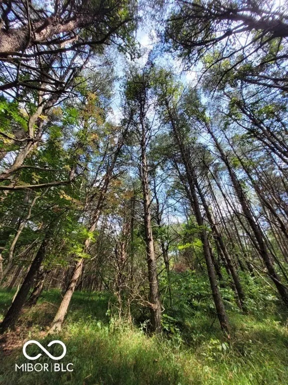 Photo of State Rd. 135 S Columbus, IN 47201