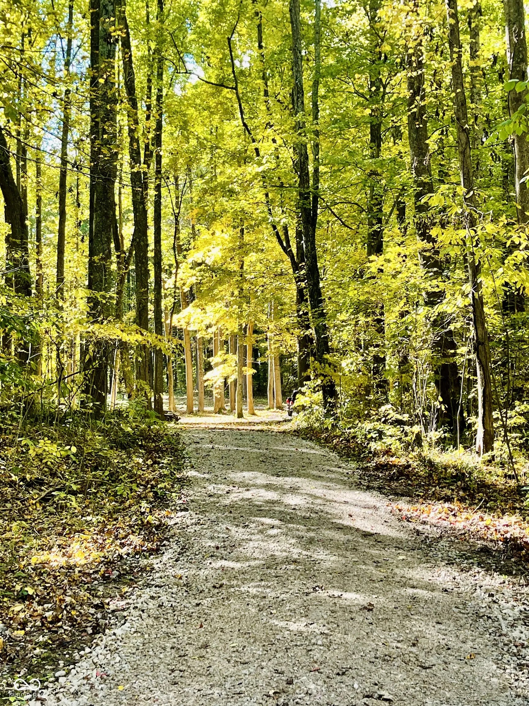 6aaa Skyway Drive, Martinsville