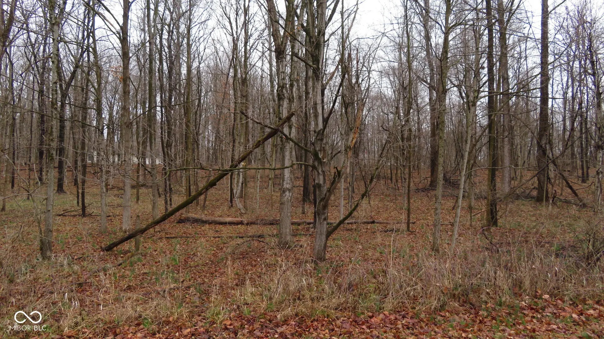 Photo of Cambridge Drive Crawfordsville, IN 47933