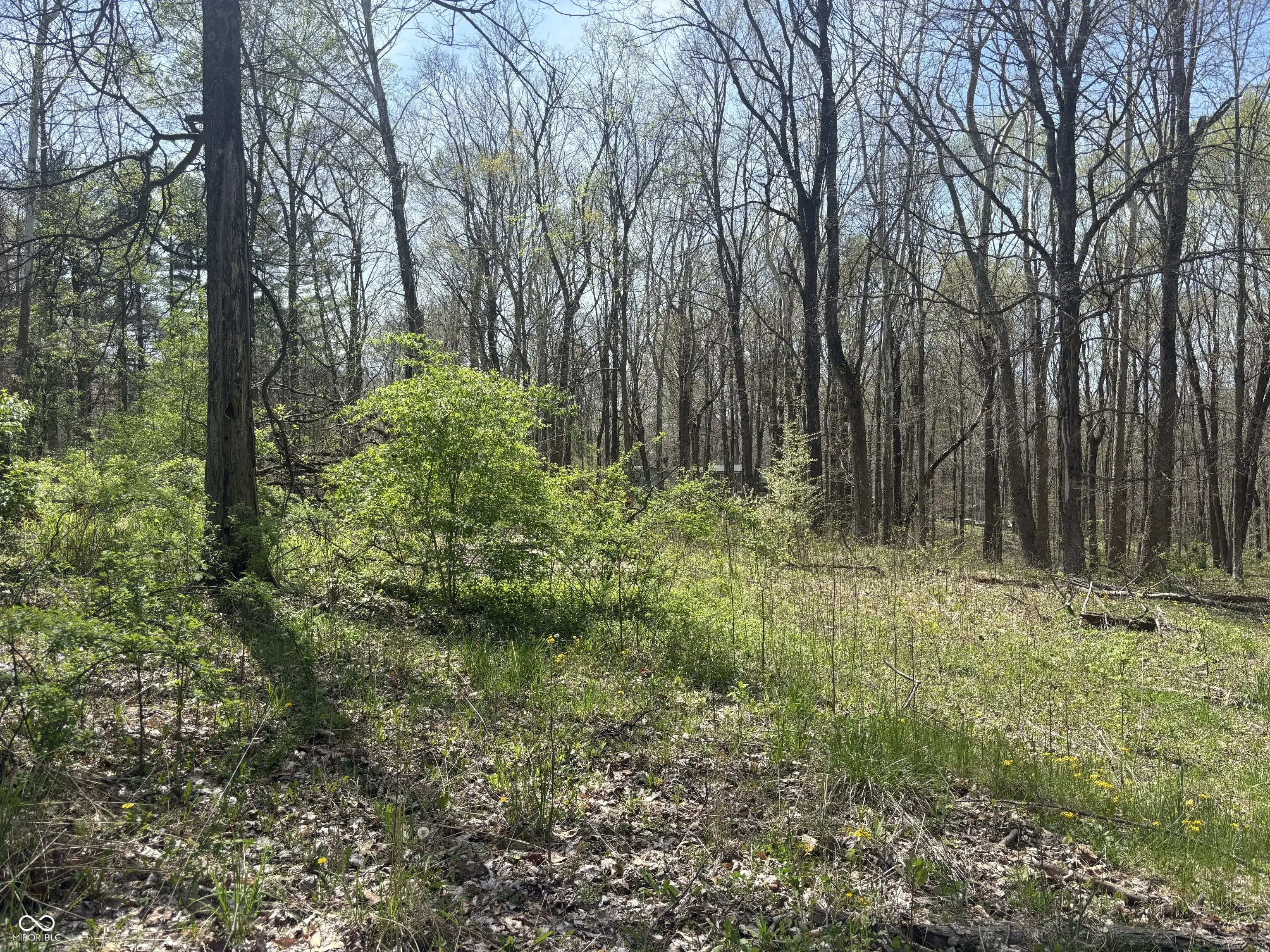Photo of 4075 Camelot Road Spencer, IN 47460