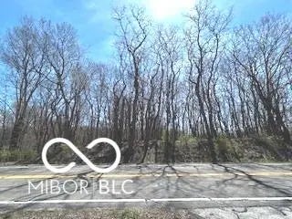 Photo of Washington Street Burlington, IN 46915