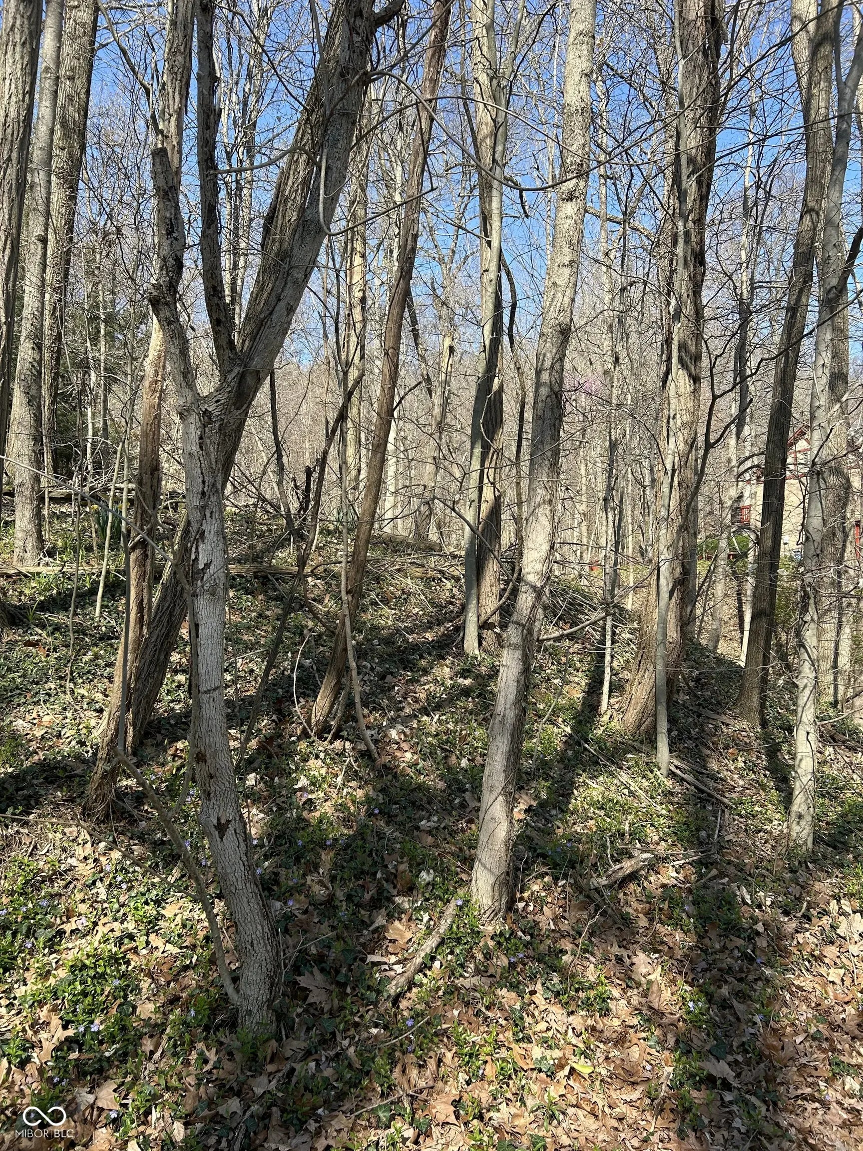 O Foxcliff North Drive W, Martinsville