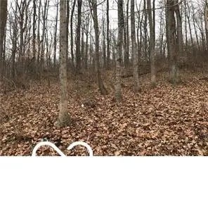 Photo of 5216 Orange Grove Road Gosport, IN 47433