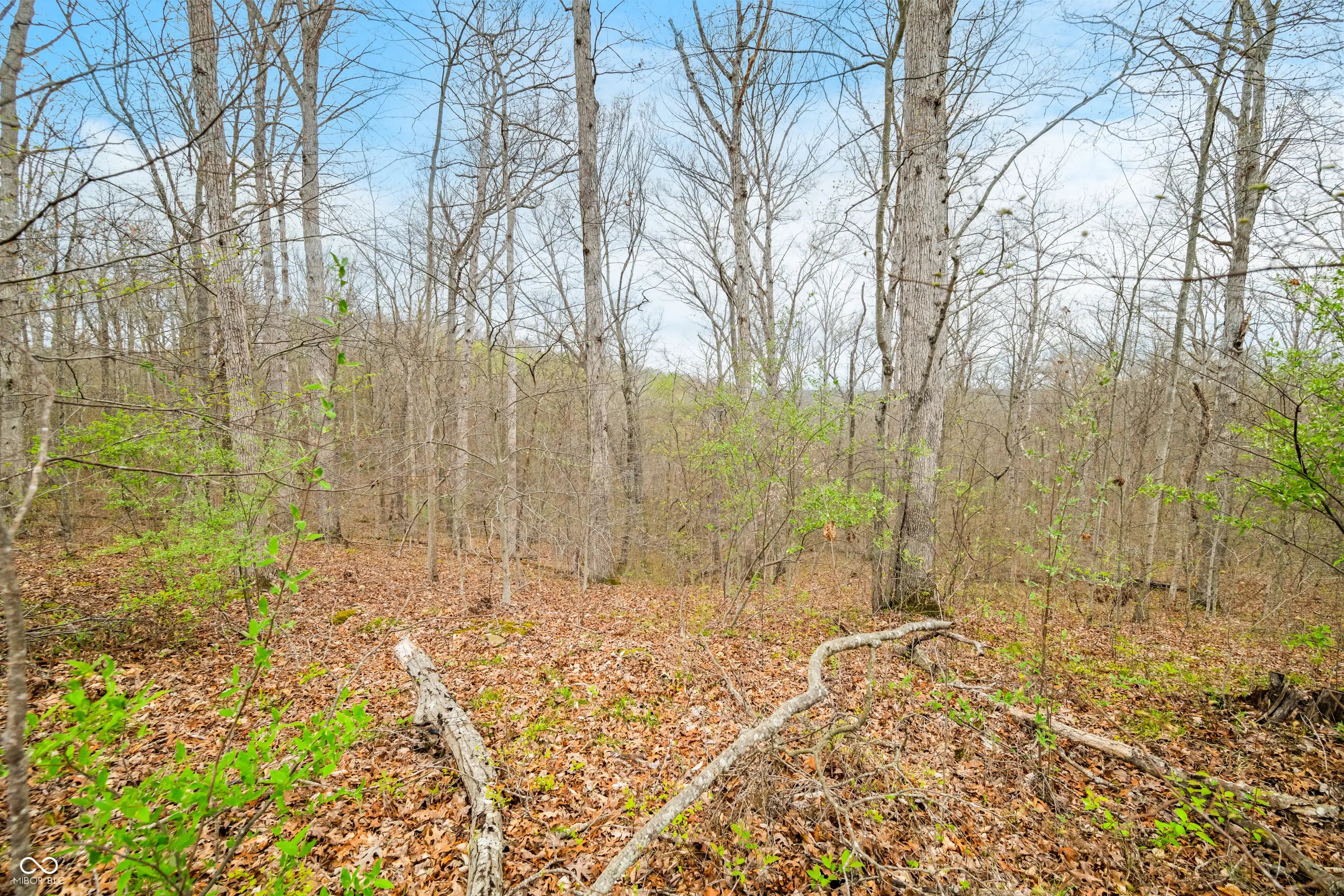 Photo of 4100 Block Of Lower Schooner Road Nashville, IN 47448