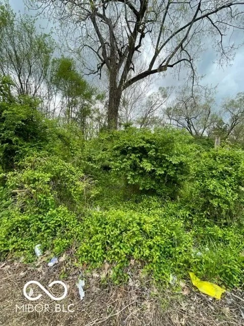 3128 N Euclid Avenue, Indianapolis