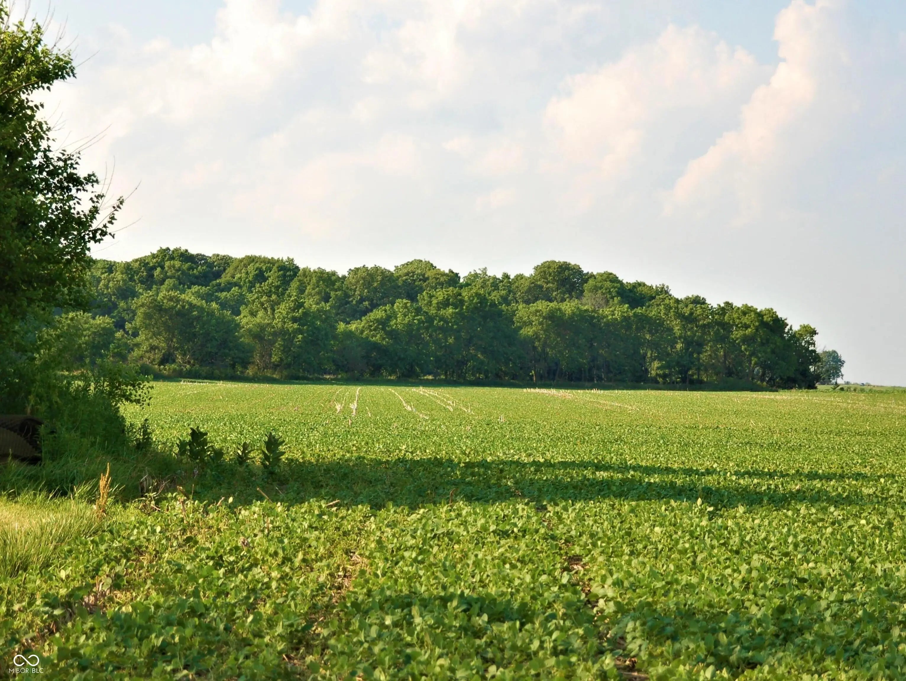 10188 E State Road 47, Sheridan