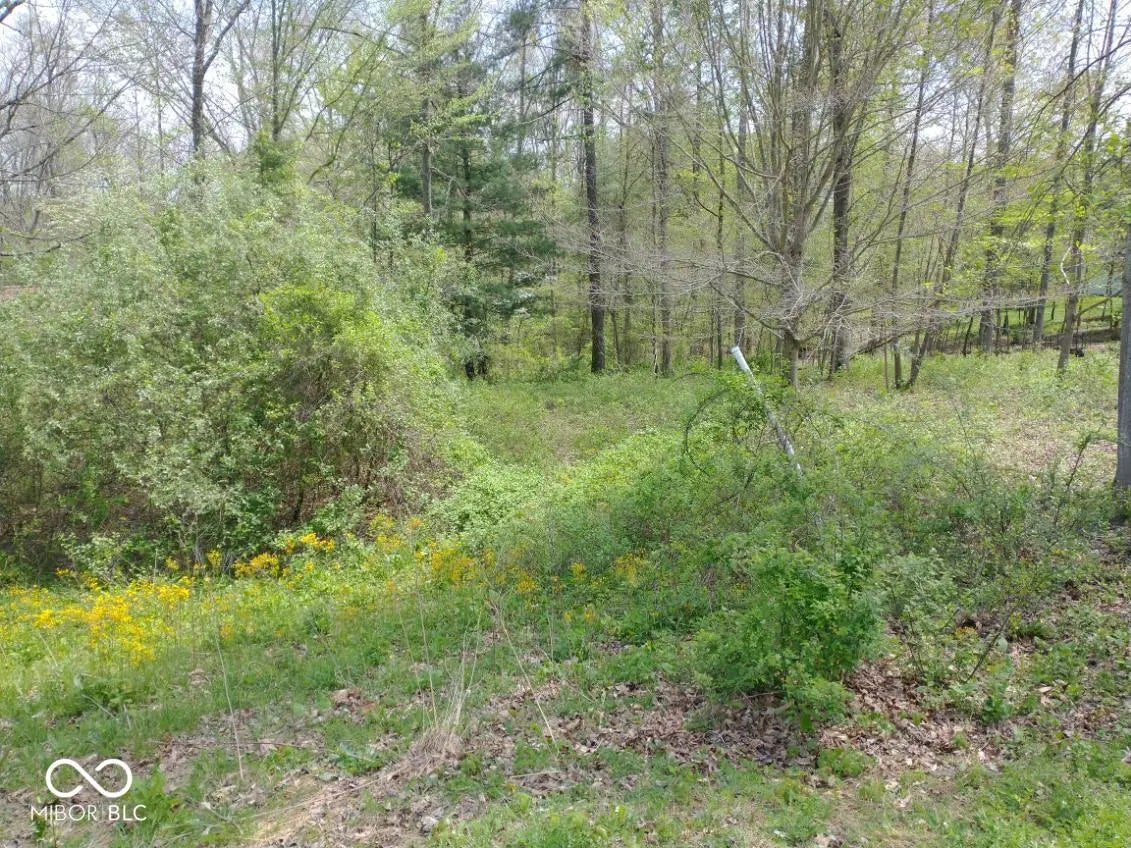 Photo of 155 Pine Valley Court Nashville, IN 47448