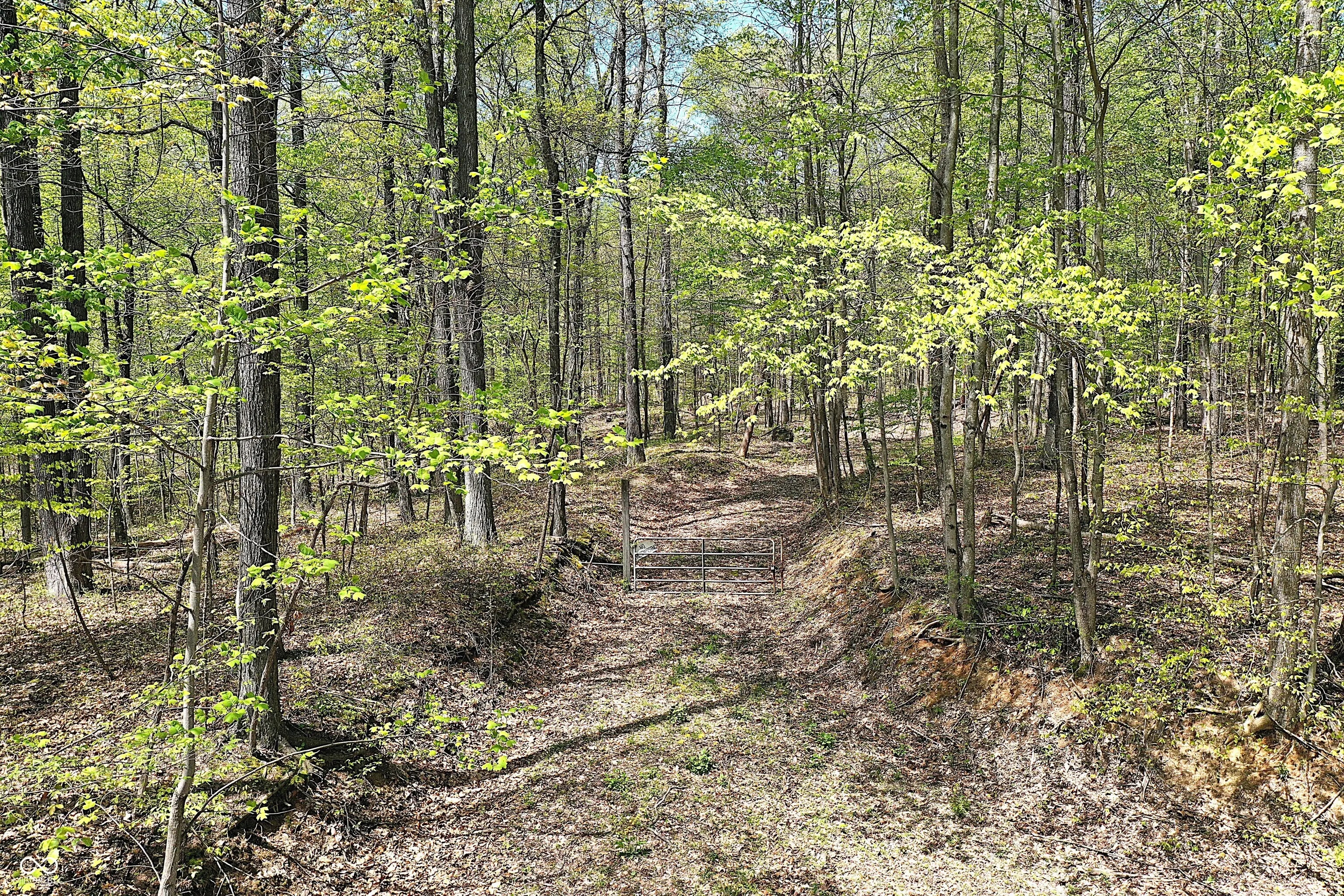 Possom Trot Road, Unionville