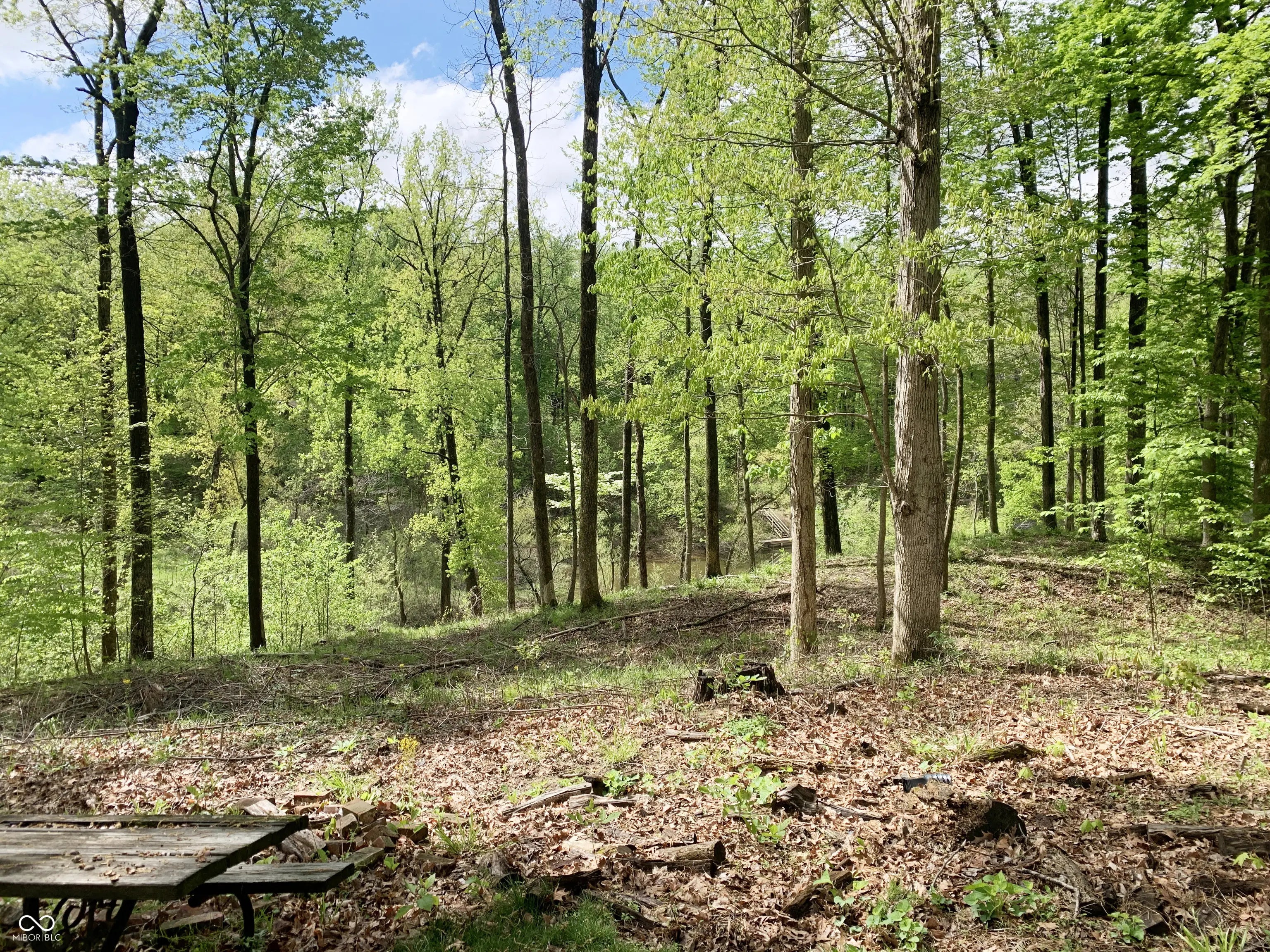 1873 S Lee Kay Drive MLS 22037192 Sue San photo 33