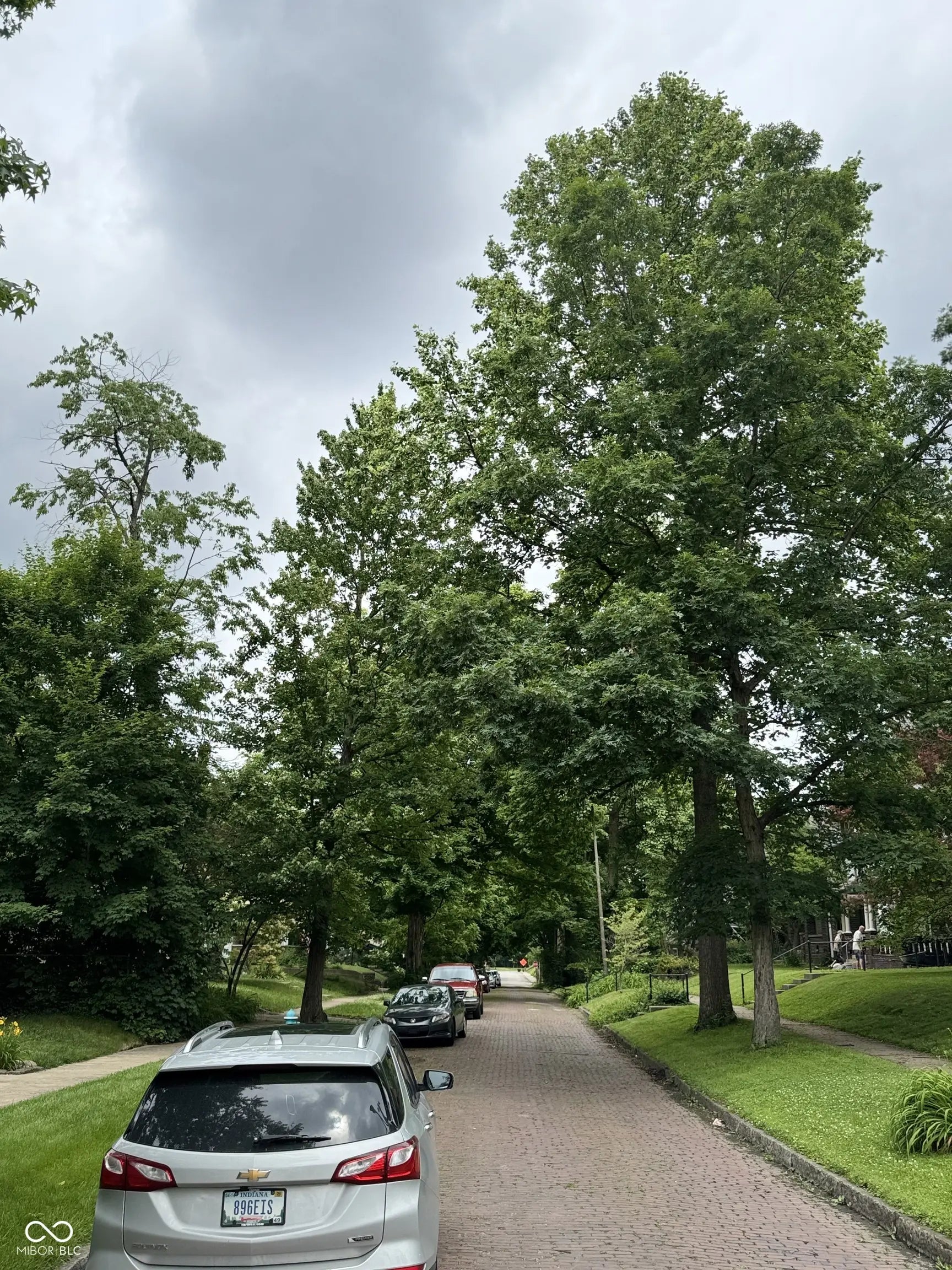 38 N Irvington Avenue MLS 22042833 Smiths Sub Ritter photo 11