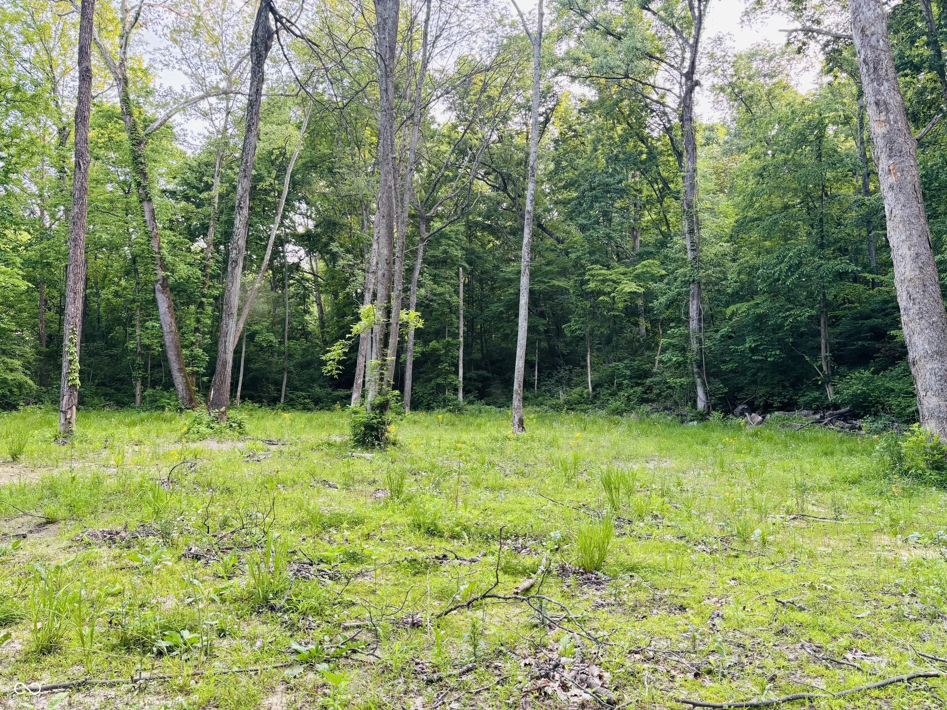 Photo of Laurel Road Laurel, IN 47024