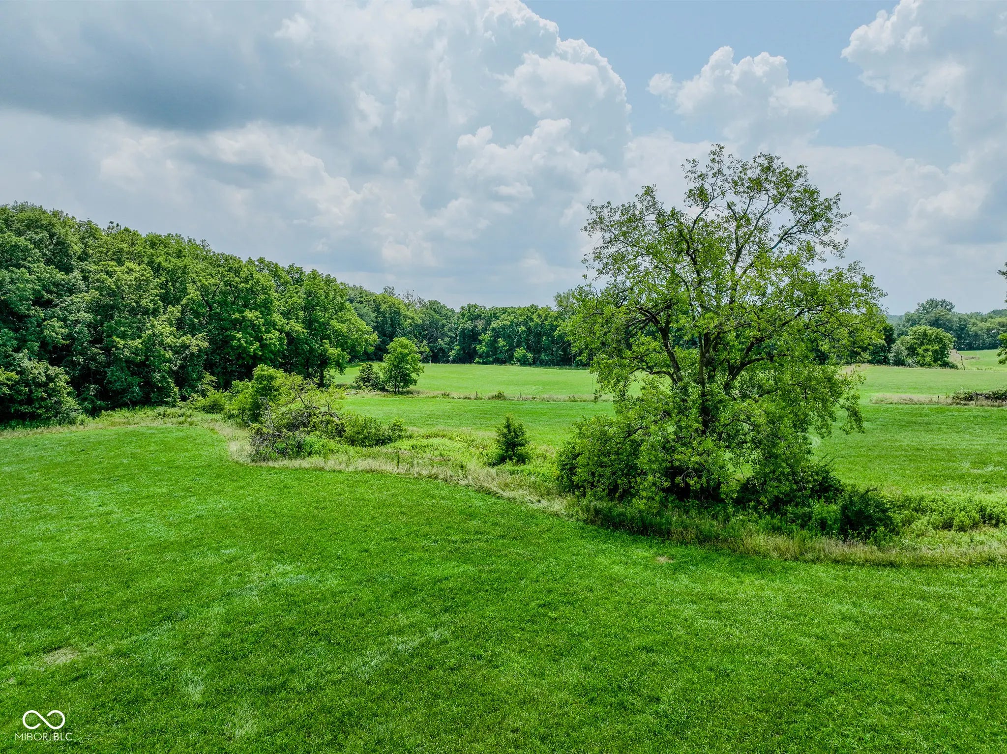 1645 Dye Creek Court MLS 22044541 Bradley Ridge photo 3