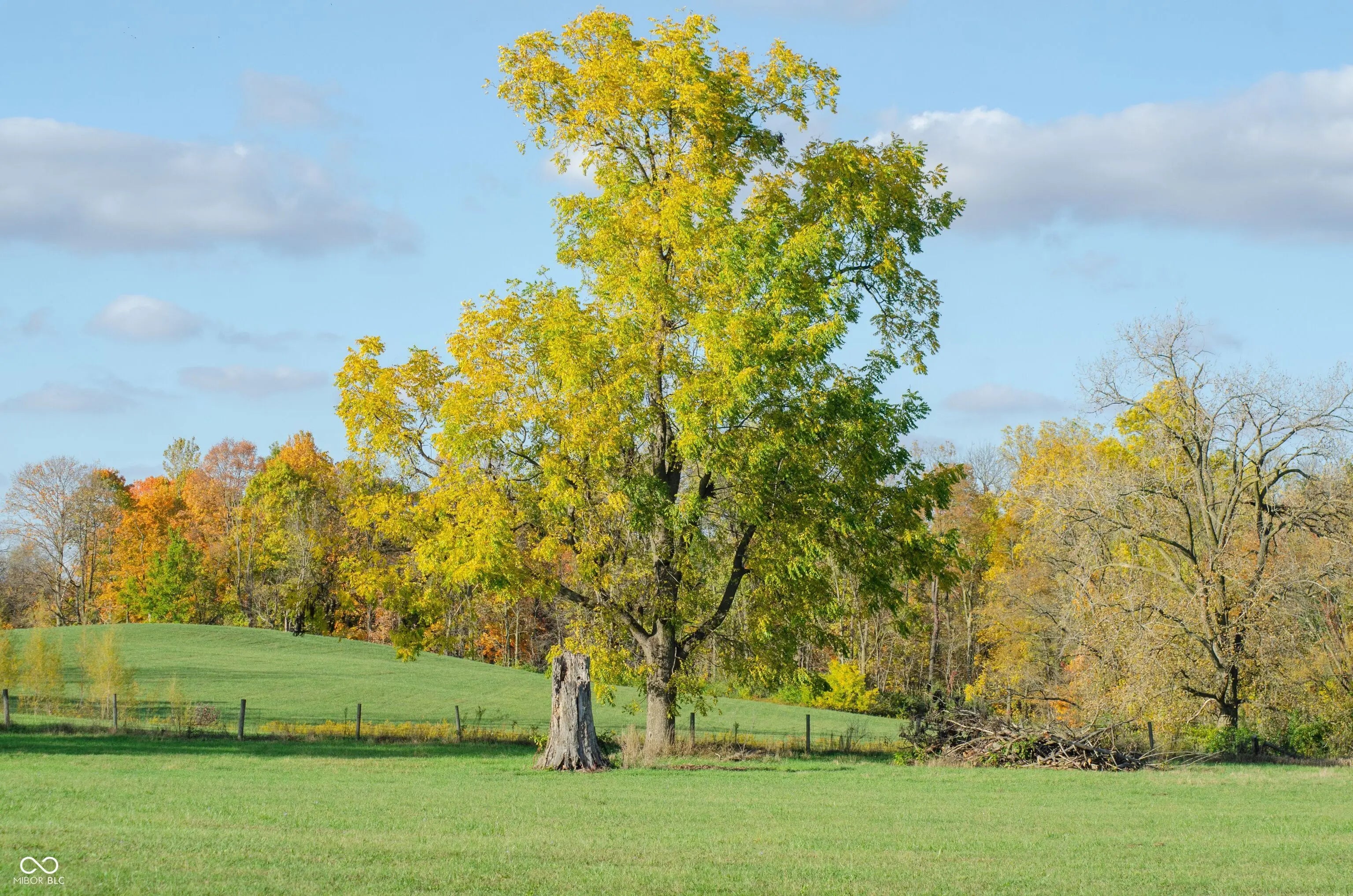 1645 Dye Creek Court MLS 22044541 Bradley Ridge photo 5
