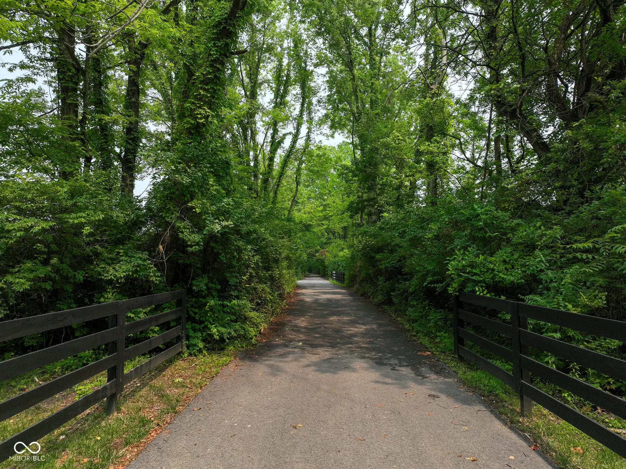 1645 Dye Creek Court MLS 22044541 Bradley Ridge photo 6