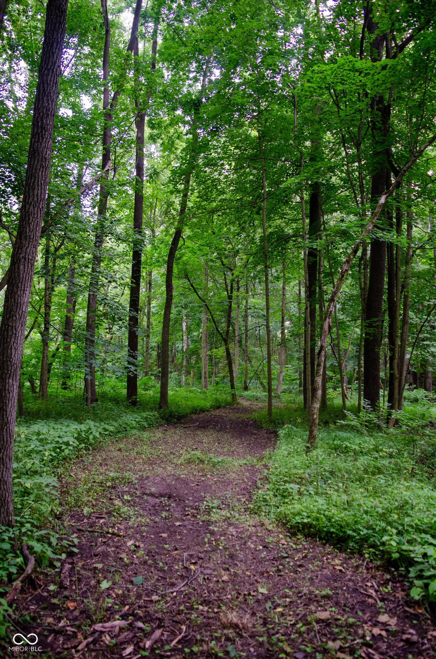 1645 Dye Creek Court MLS 22044541 Bradley Ridge photo 7