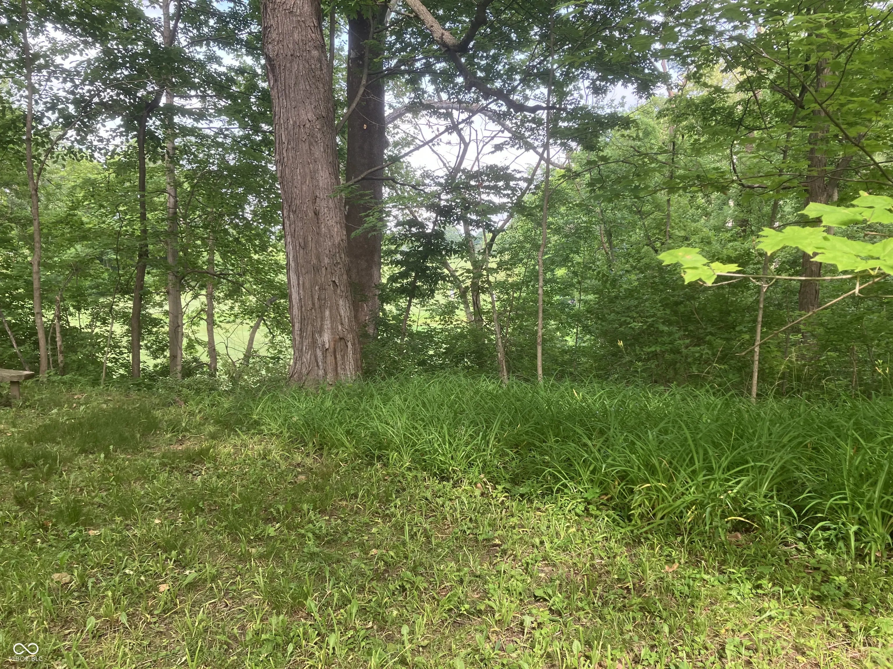 11045 Westfield Boulevard, Carmel
