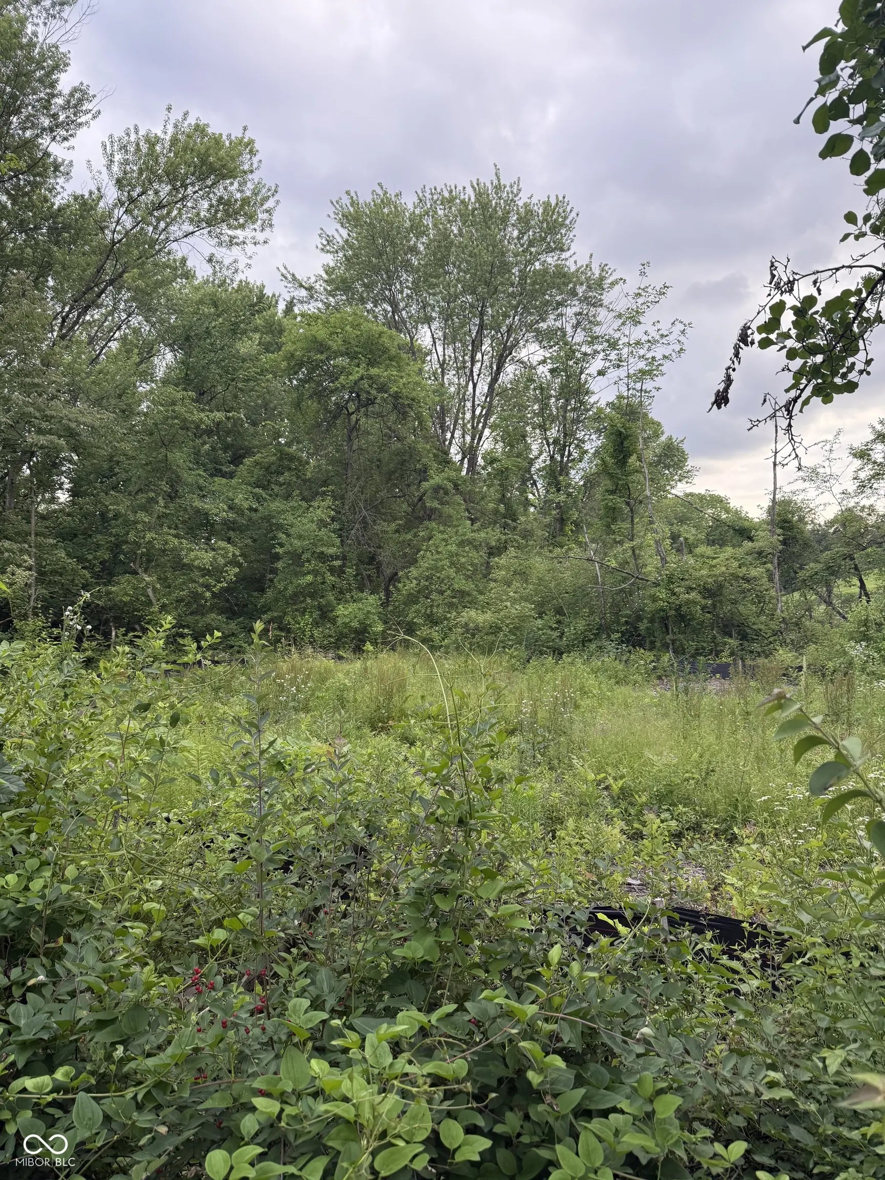 2972 Opal Street, Indianapolis