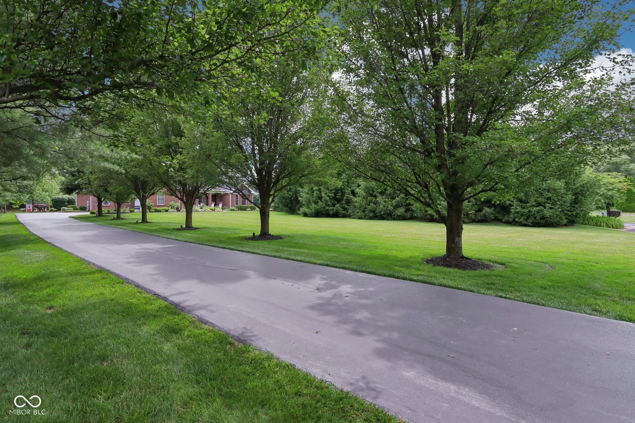 8301 Cooper Lane MLS 22045134 Cooper Heights photo 3