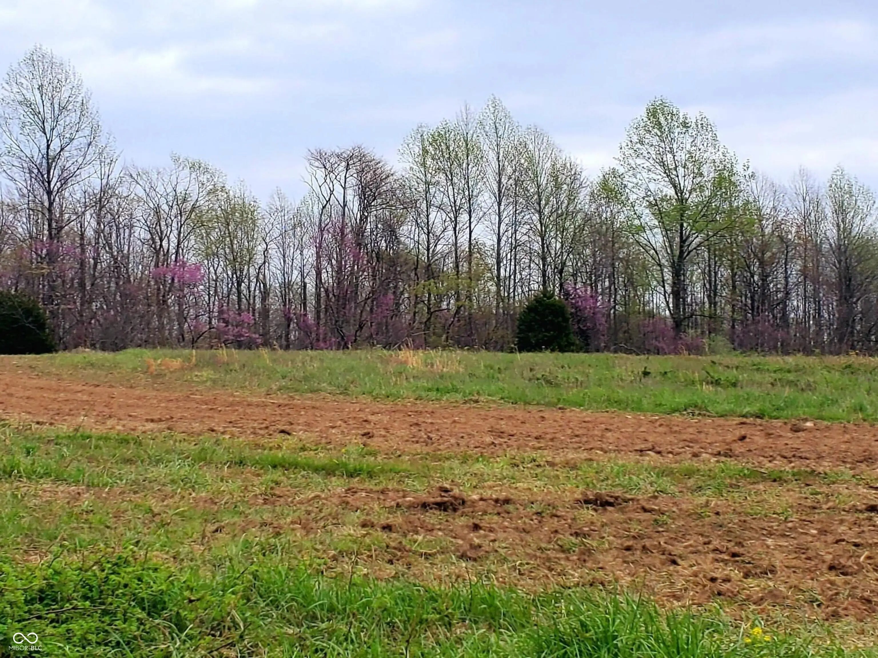 Photo of Wells Road Coal City, IN 47427