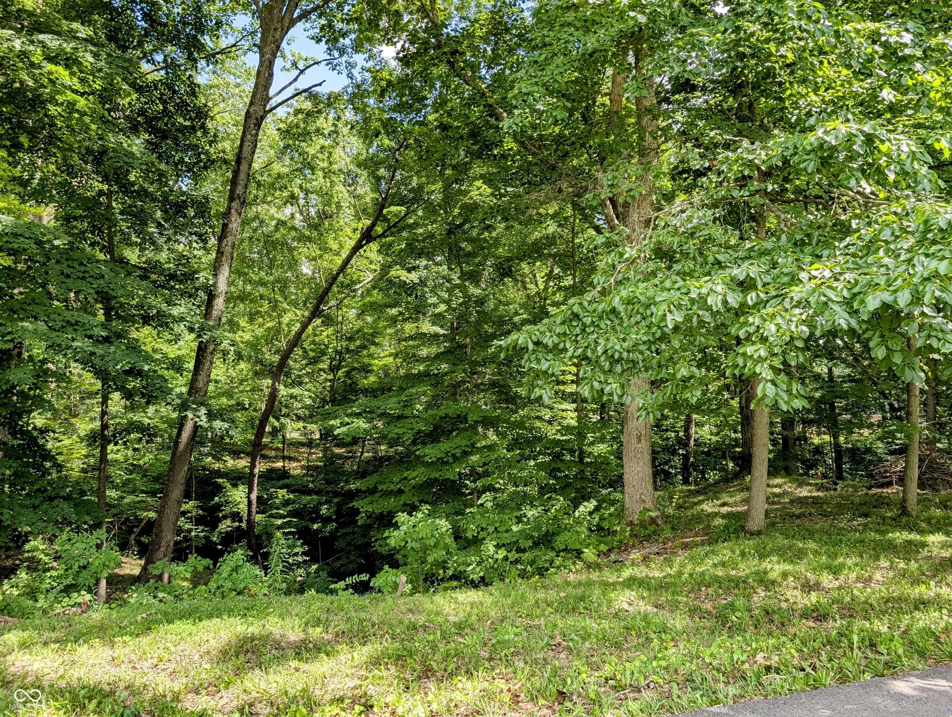 S Cove Road, Martinsville