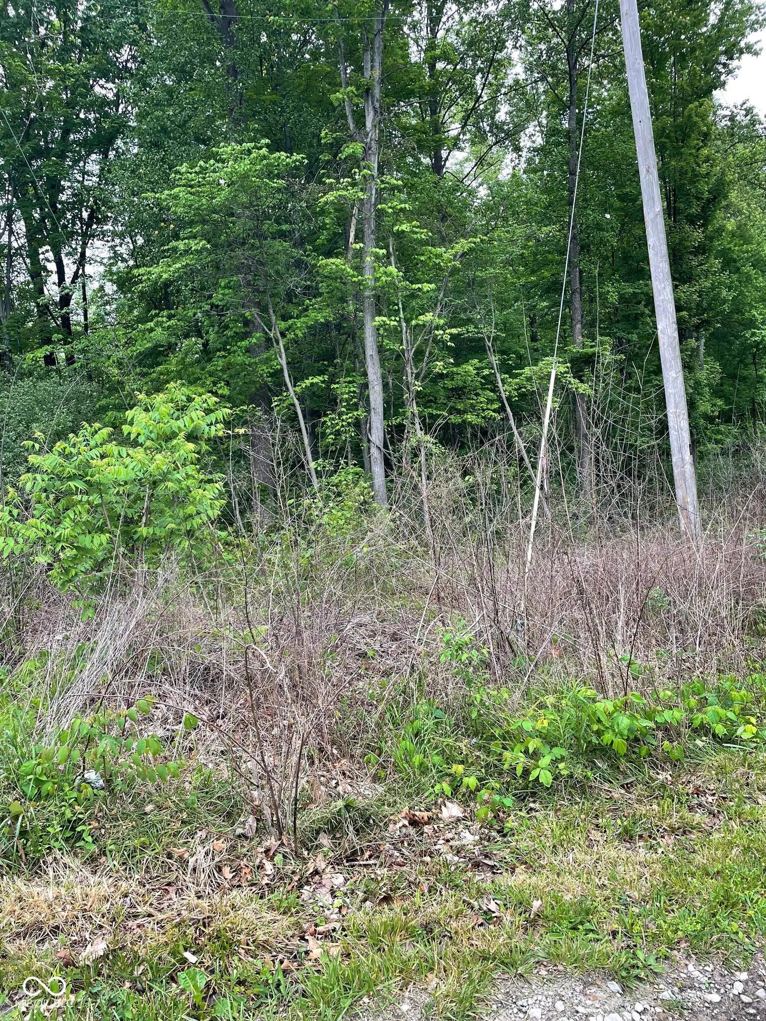 Photo of 38 Johnathan Lane Reelsville, IN 46171