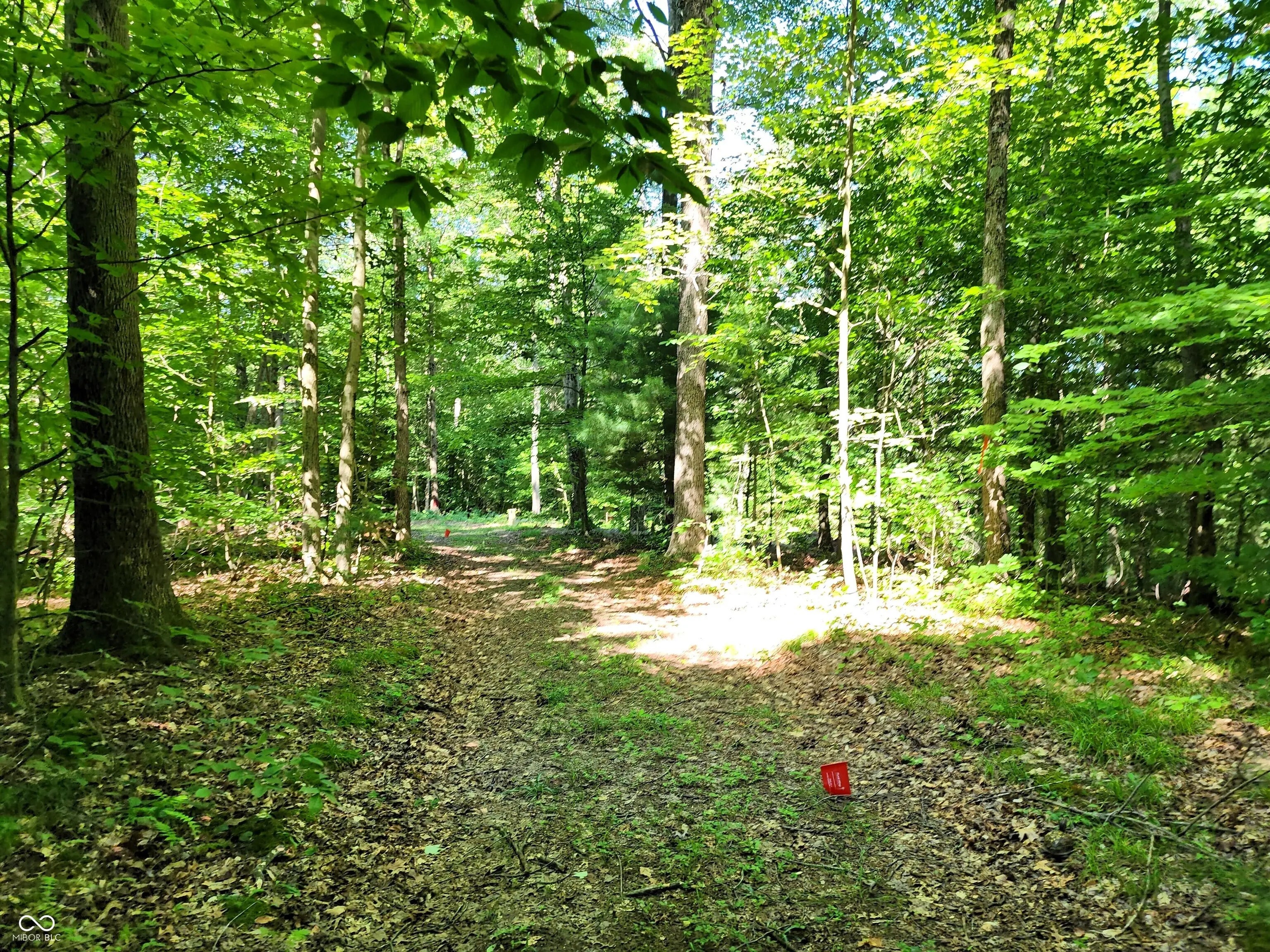 3540 W Hickory Creek Court, Martinsville