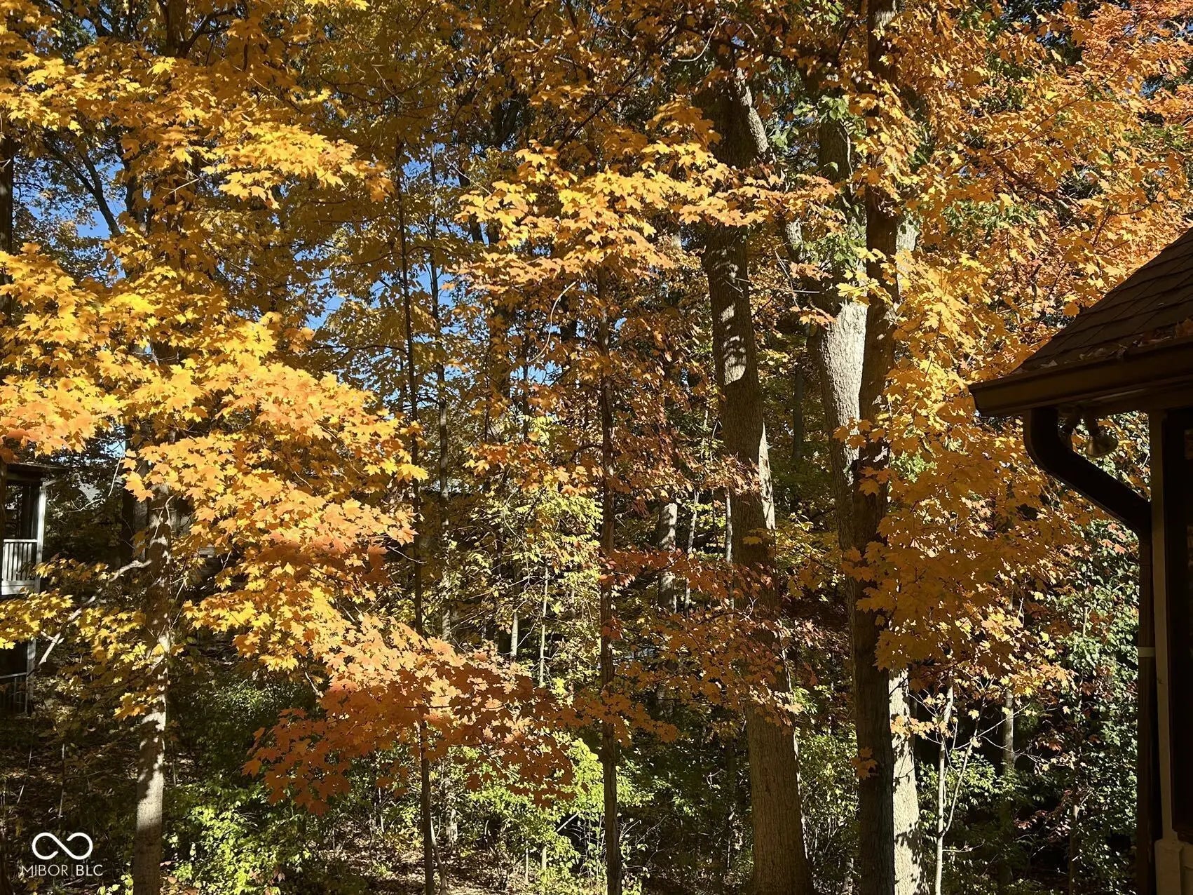 8413 Catamaran Drive MLS 22049234 Feather Cove photo 10