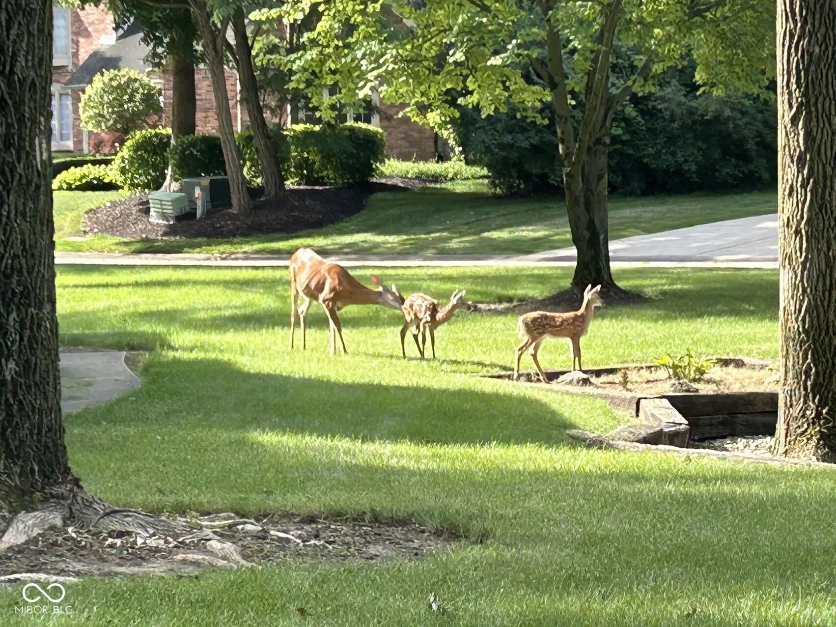 8413 Catamaran Drive MLS 22049234 Feather Cove photo 11