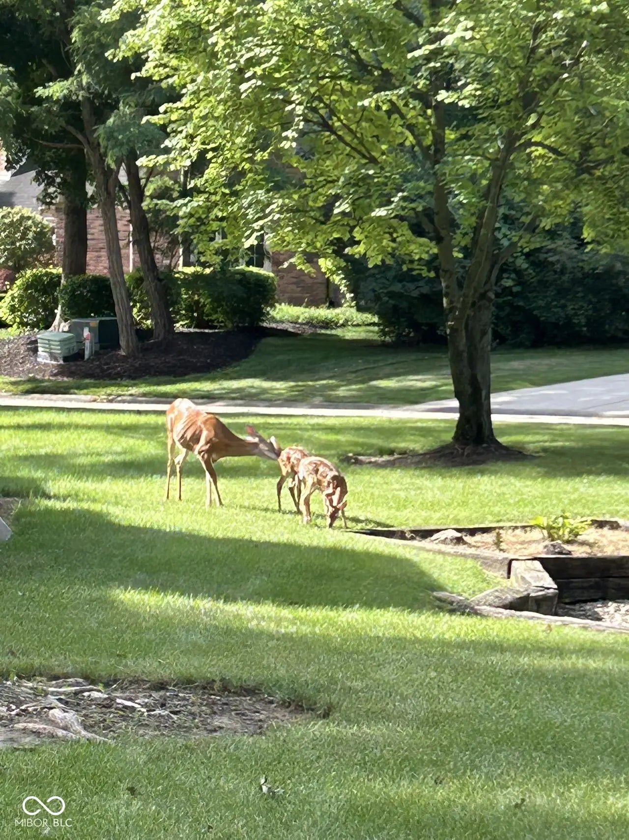 8413 Catamaran Drive MLS 22049234 Feather Cove photo 12