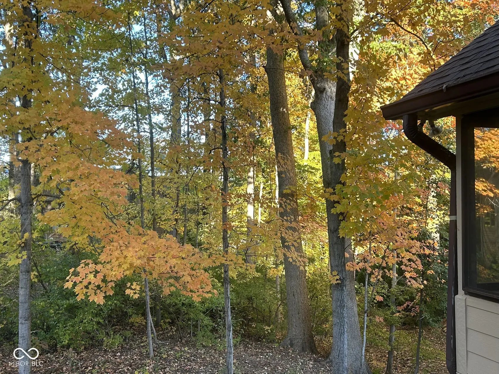 8413 Catamaran Drive MLS 22049234 Feather Cove photo 9