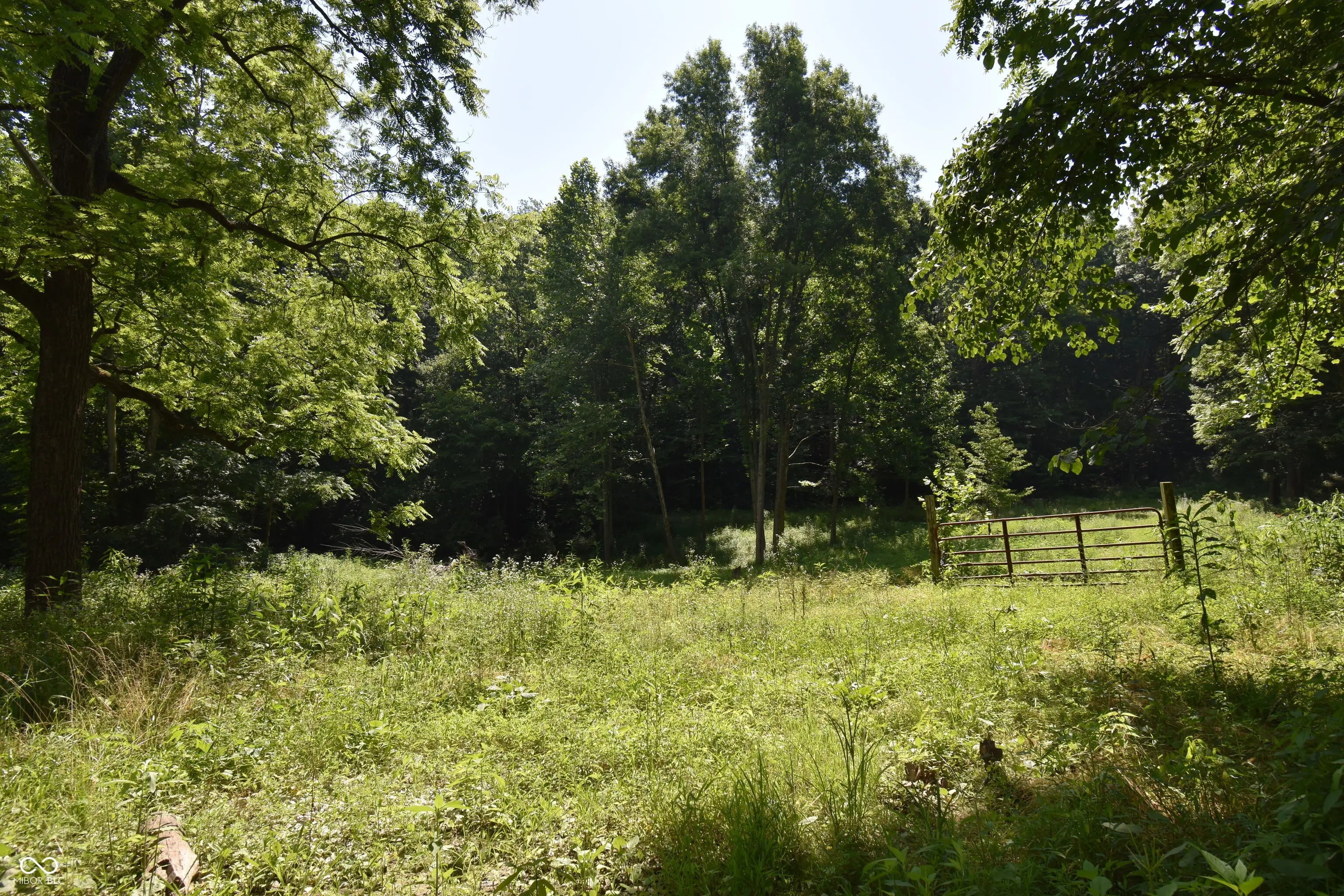 525 Catholic Cemetery Road, Martinsville