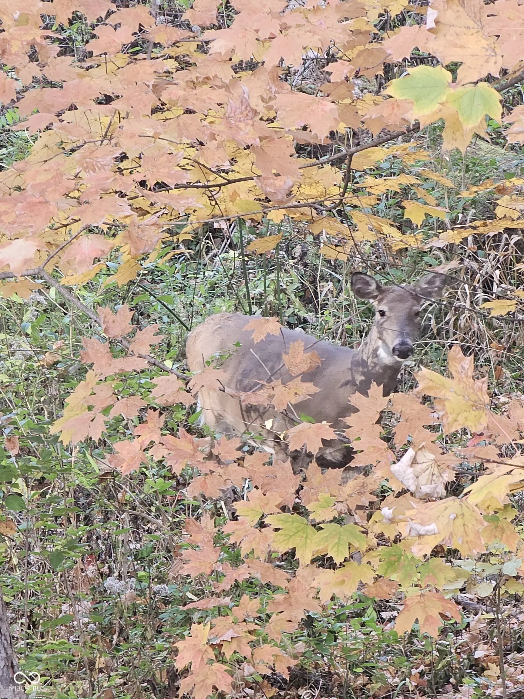 1732 Creekside Lane W MLS 22051214 Creekside photo 1