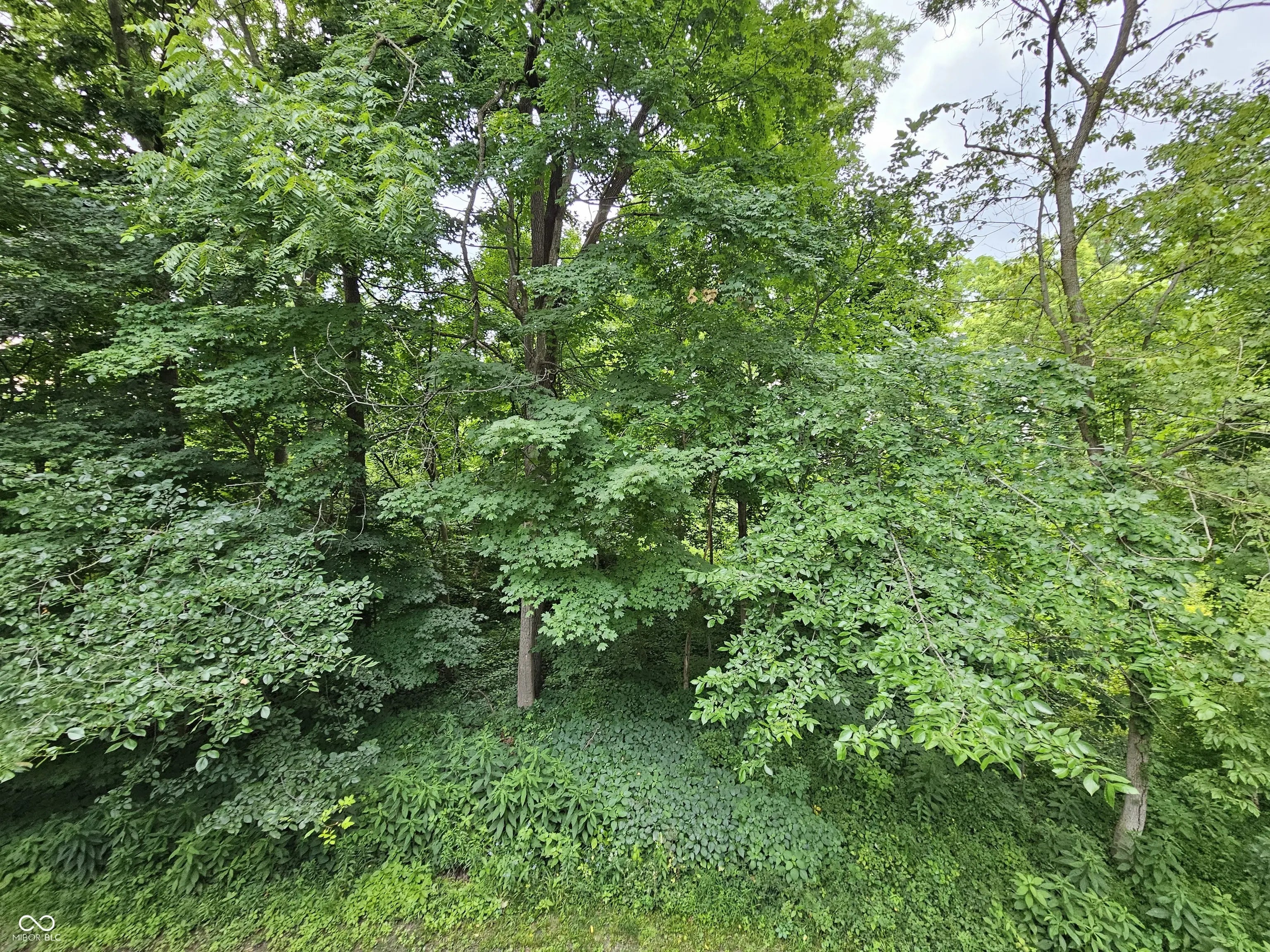 1732 Creekside Lane W MLS 22051214 Creekside photo 42