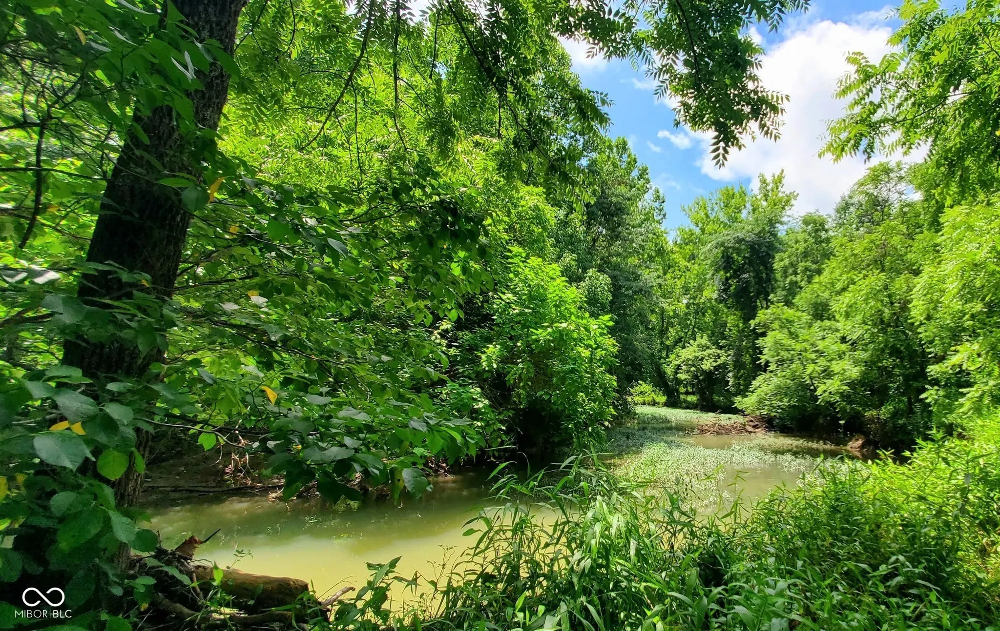 Photo of 12251 E Wagner Road Solsberry, IN 47459