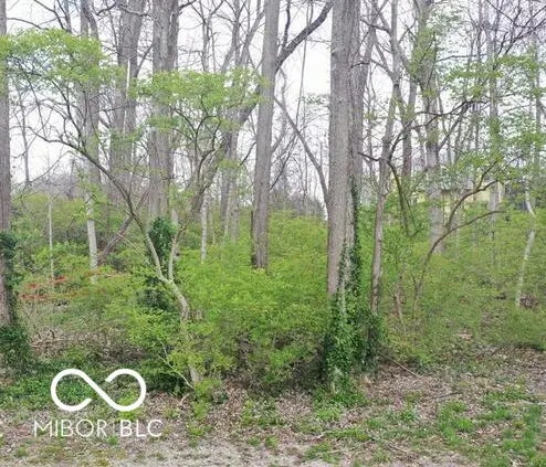 Photo of 2408 Idlewood Drive Indianapolis, IN 46240