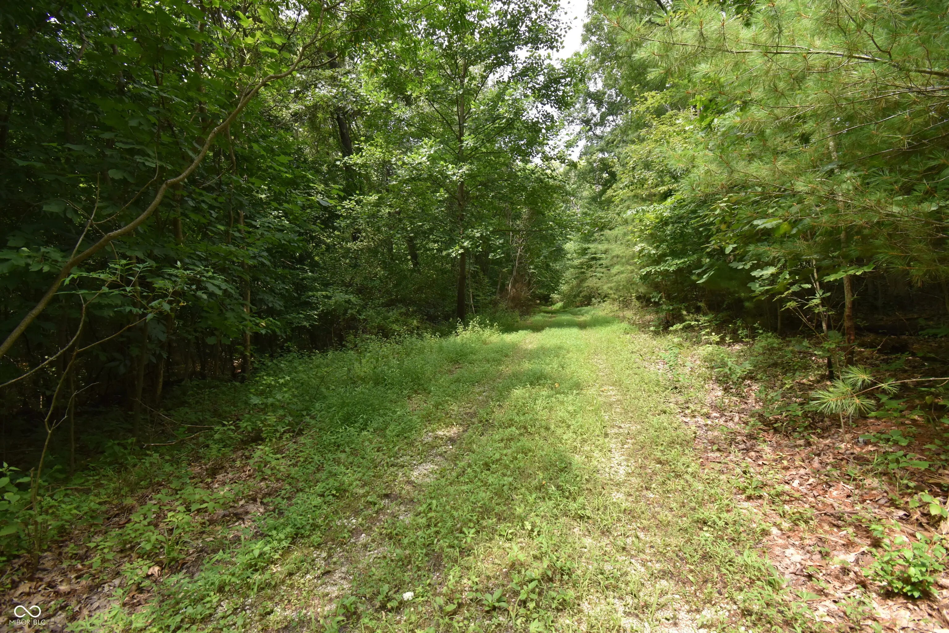 2013 S Austin Court, Martinsville