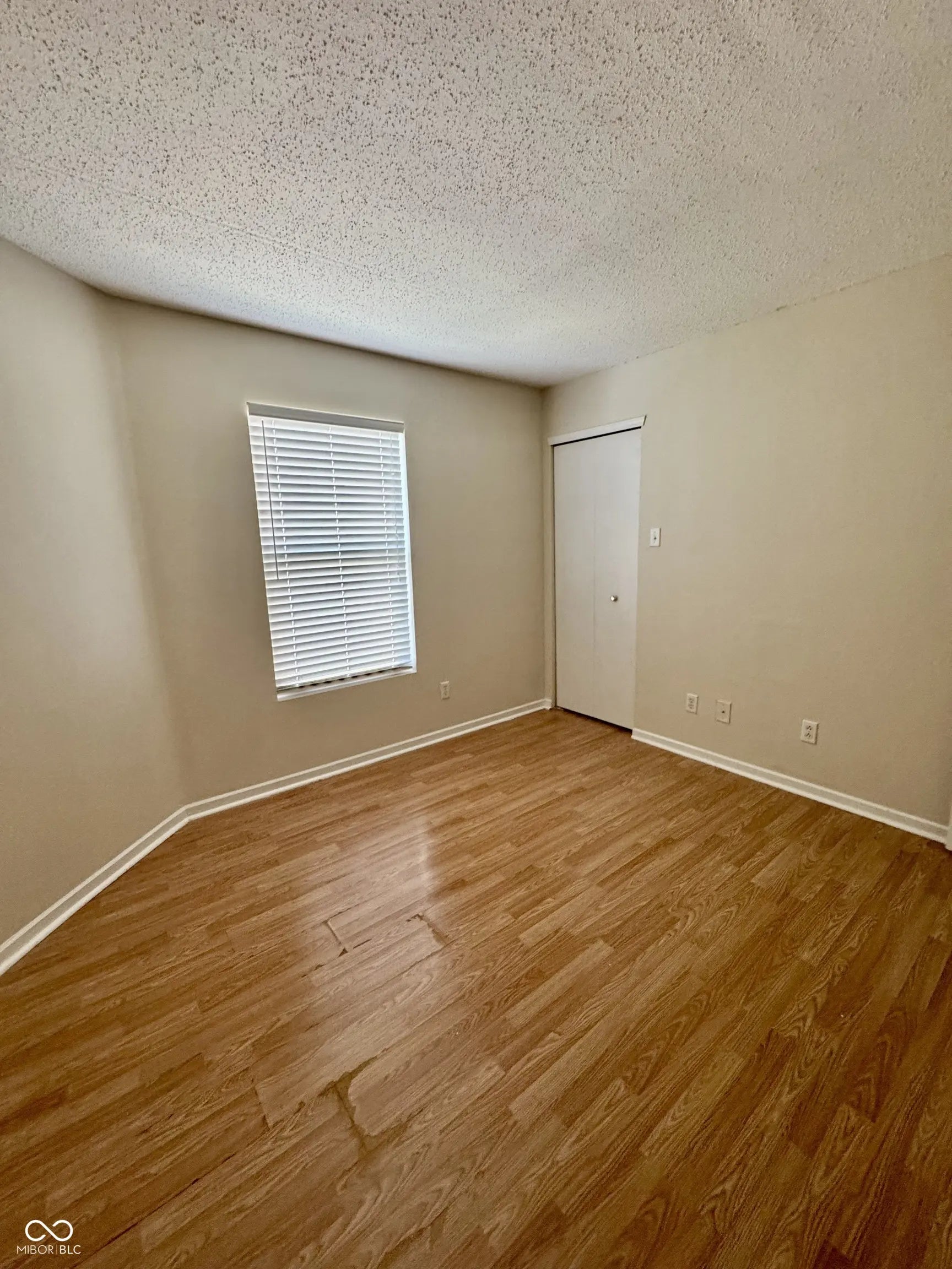 10847 Grace Drive MLS 22053637 Prairie Hollow photo 11