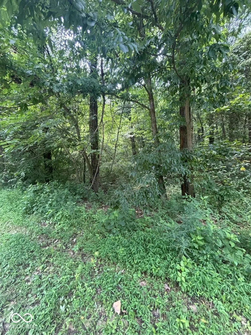 Photo of Canyon Lake Road Worthington, IN 47471