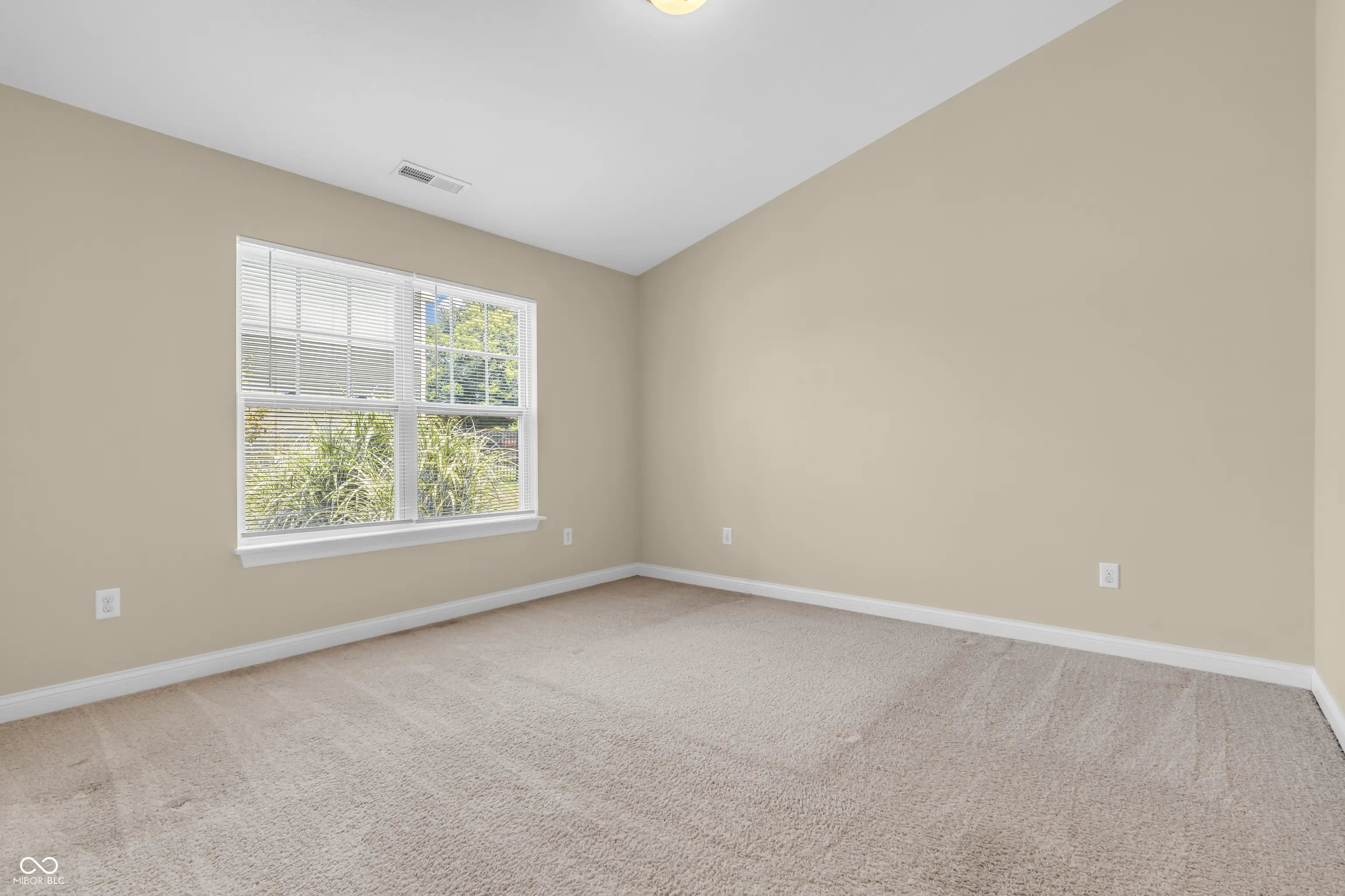 1041 Mount Olive Road MLS 22054142 Greenwood Trace photo 6