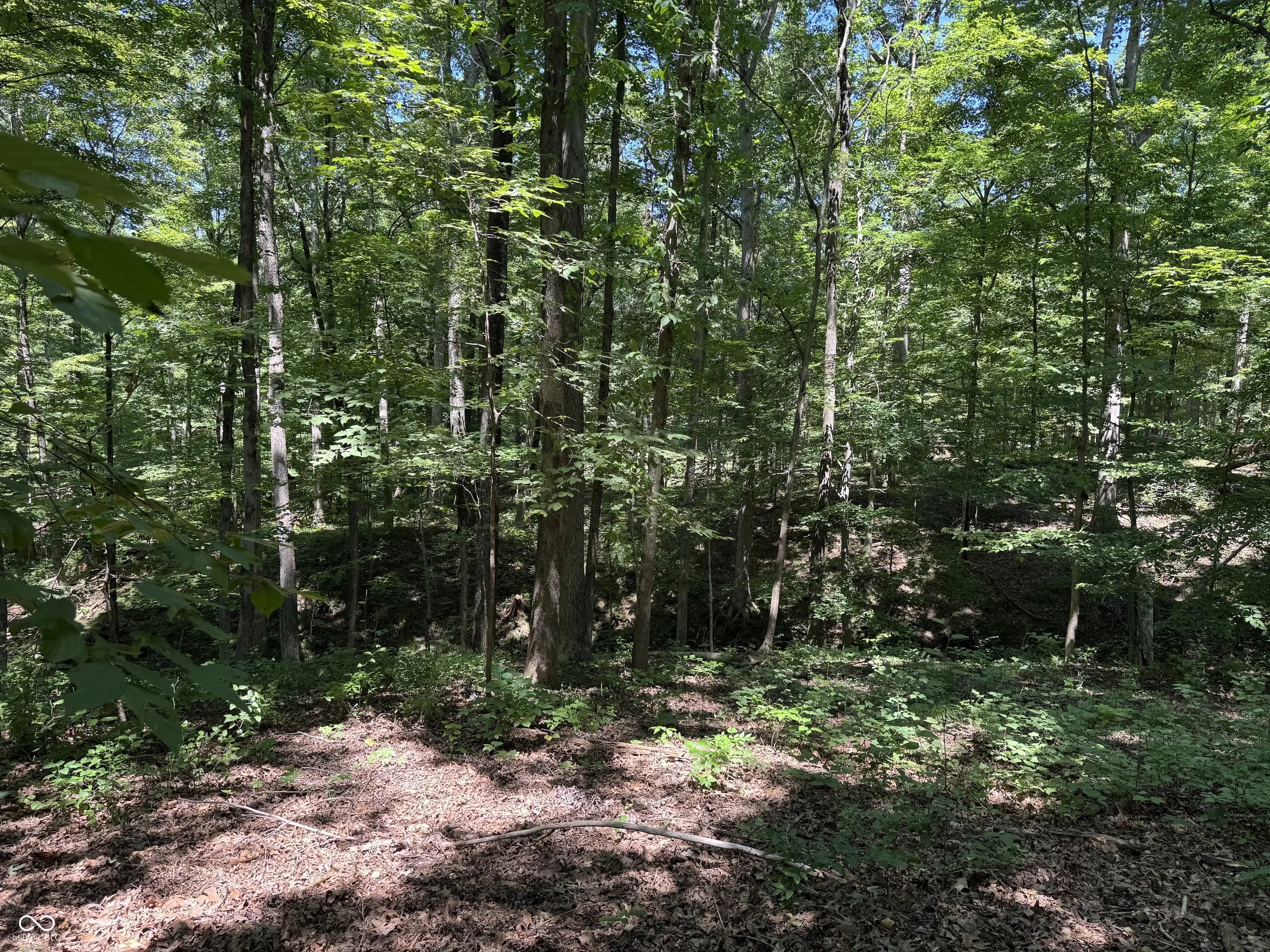 X Fox Court, Nineveh