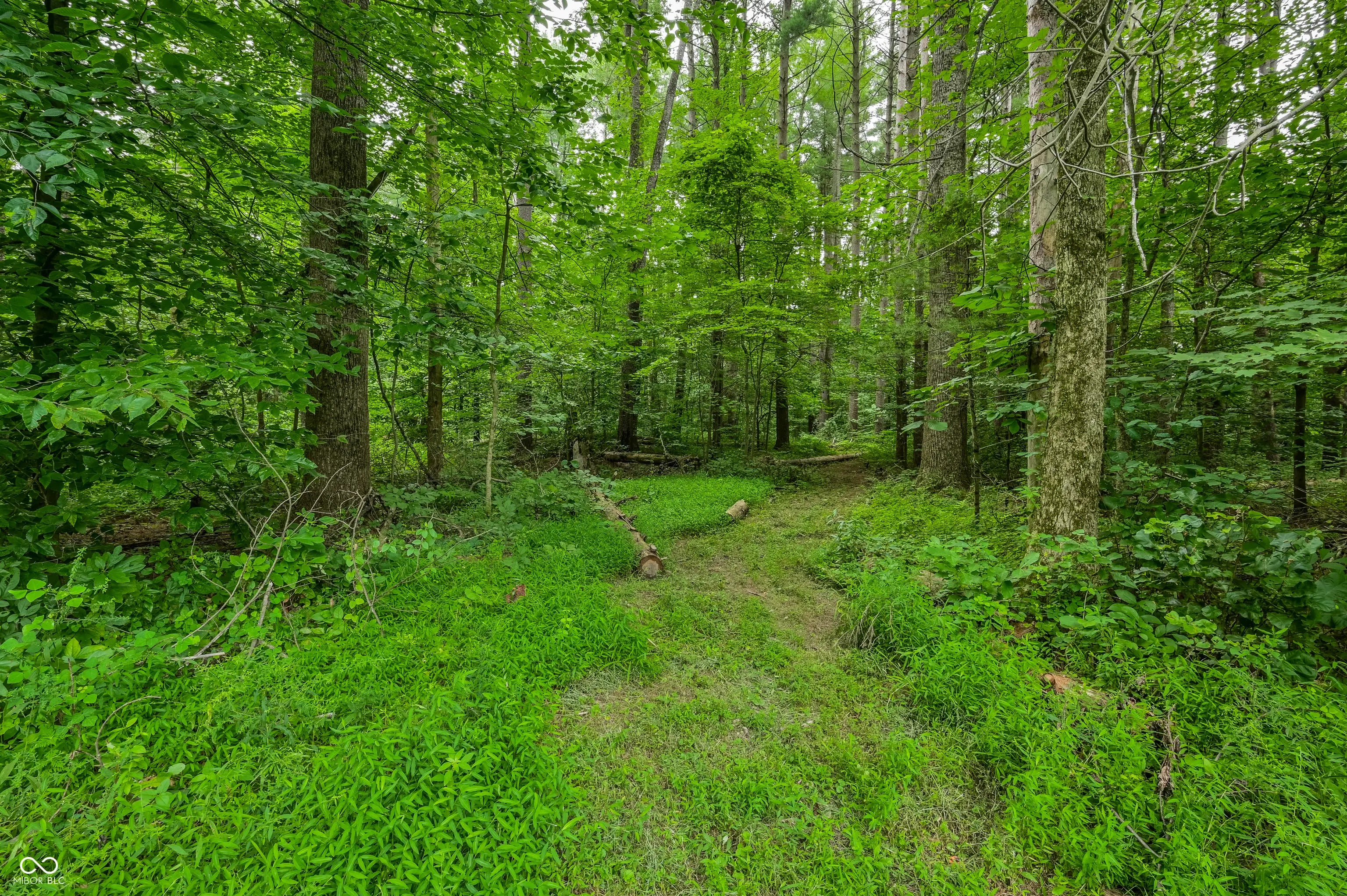 5994 Pine Tree Lane MLS 22054616 No Subdivision photo 54