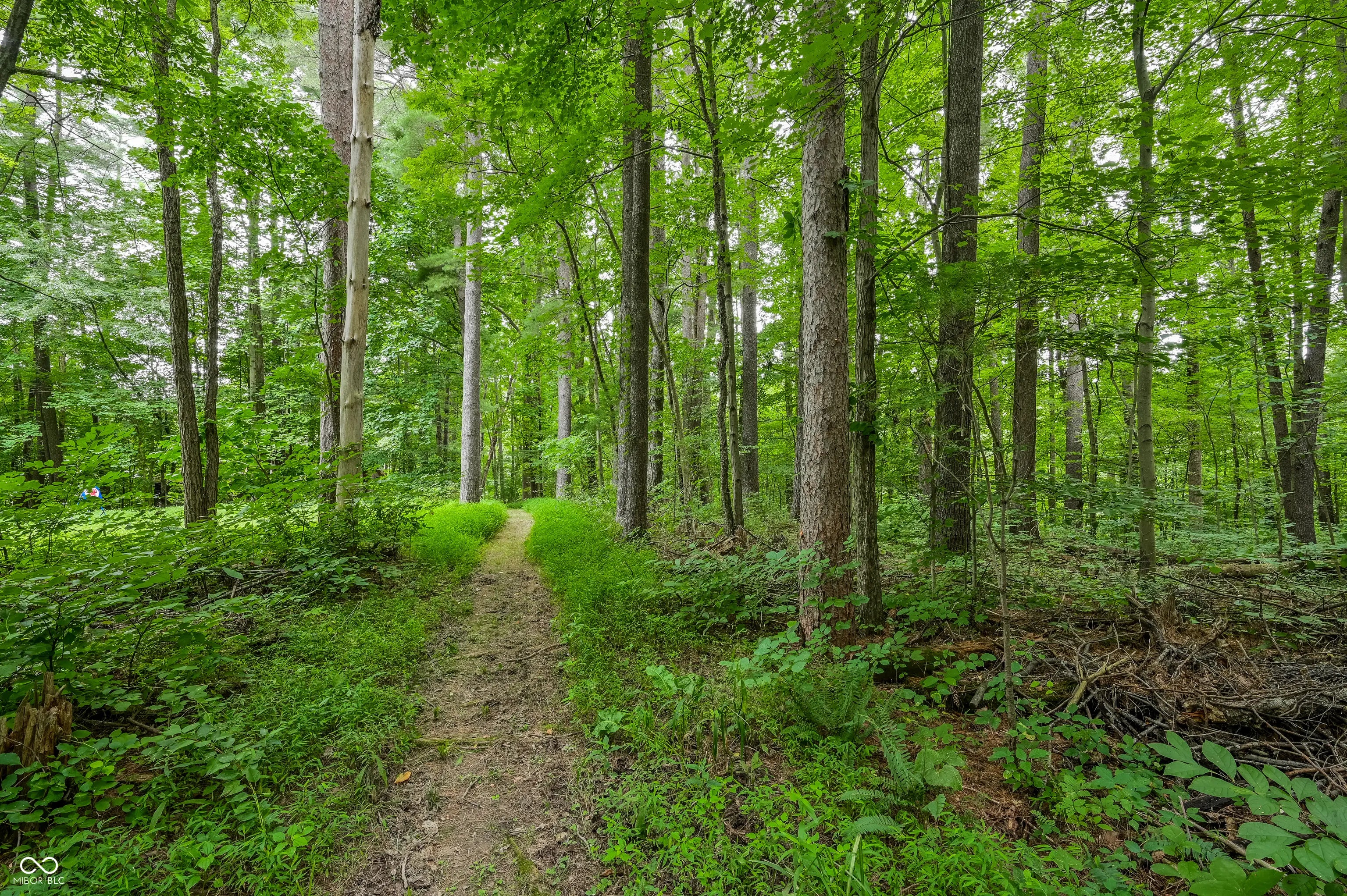 5994 Pine Tree Lane MLS 22054616 No Subdivision photo 6