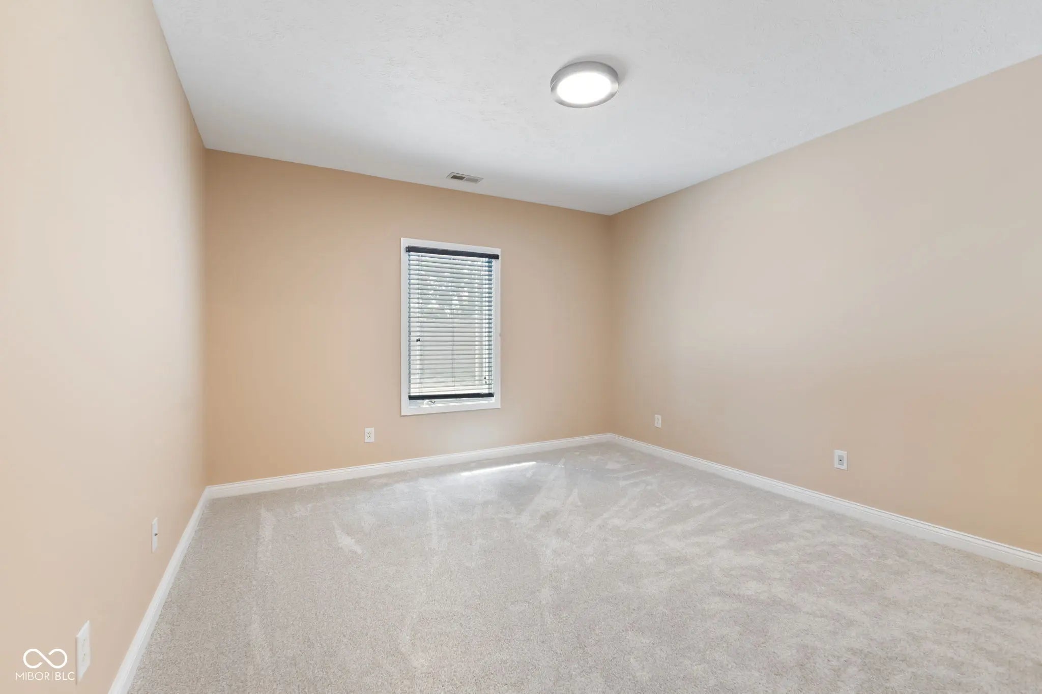 129 Back Creek Overlook MLS 22055257 Greenwood Commons photo 19